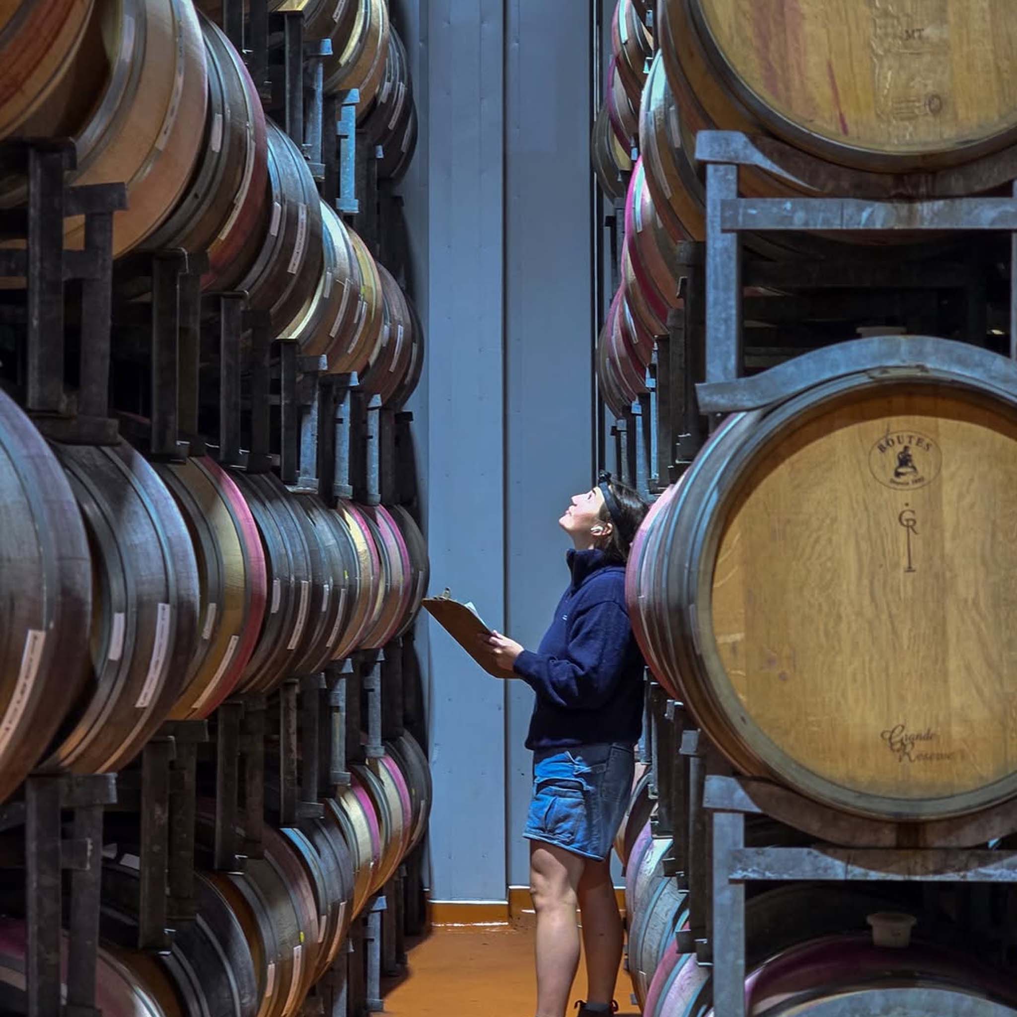 Craggy Range Martinborough Pinot Noir 2025