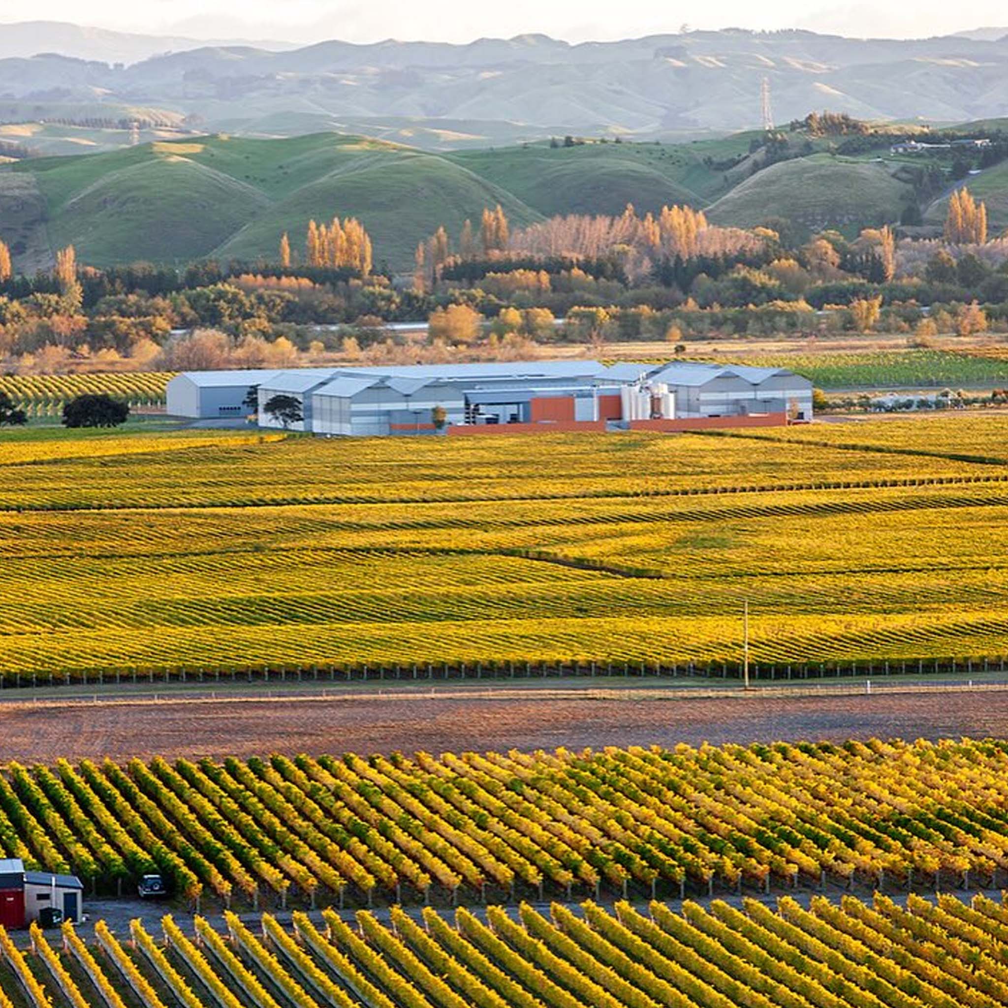 Craggy Range Martinborough Pinot Noir 2025