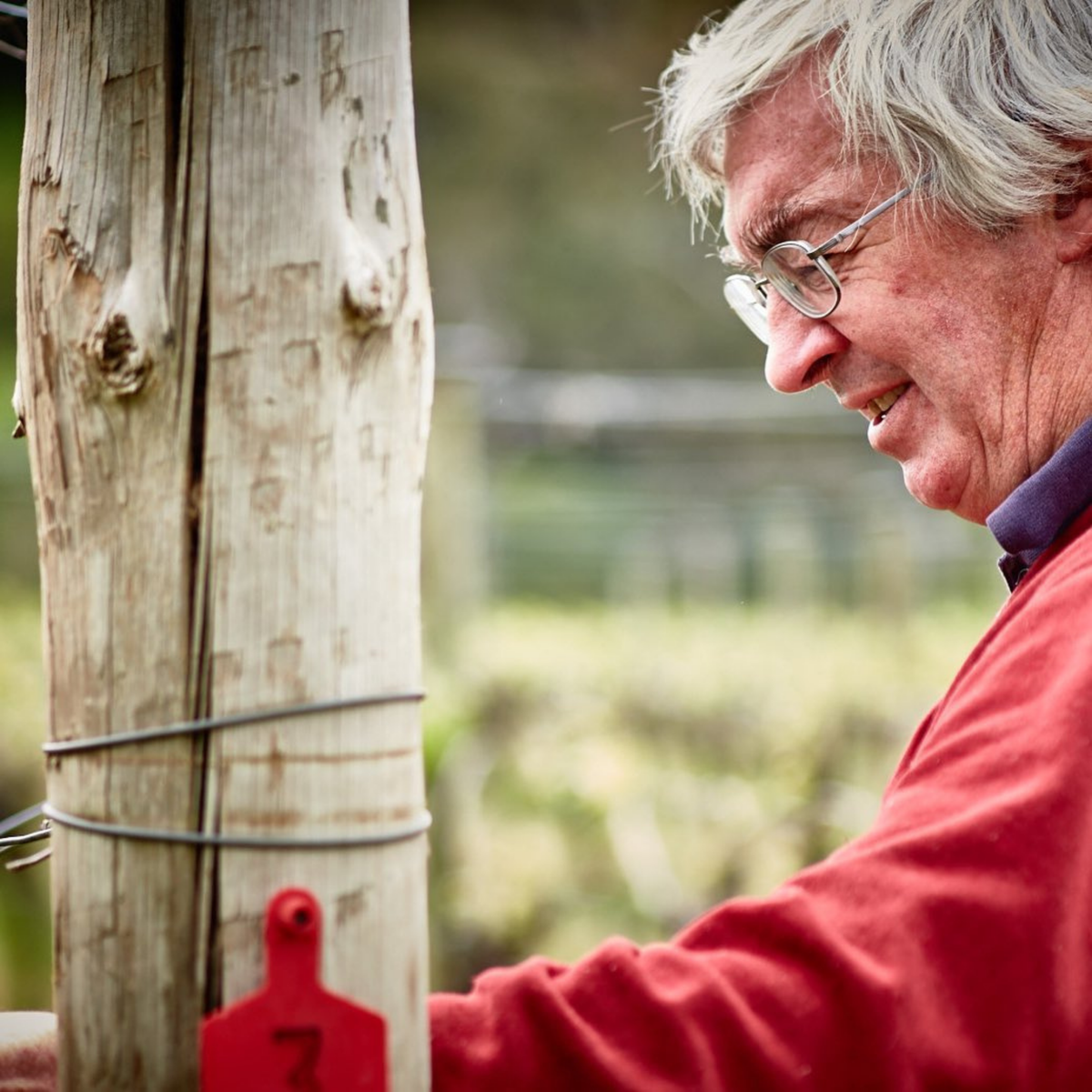 Craiglee Shiraz 2020