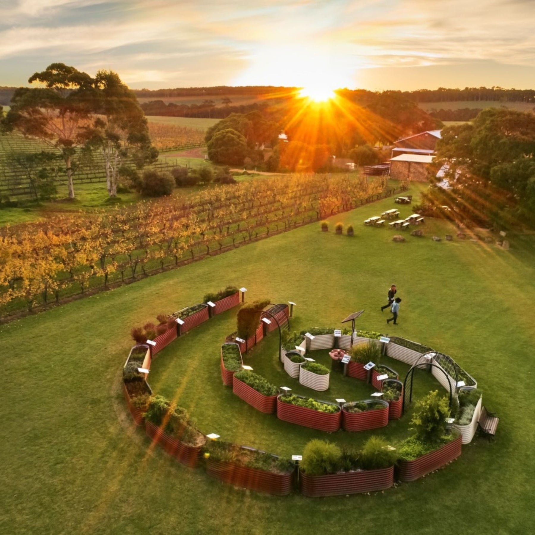 Cullen Wines Diana Madeline 2024