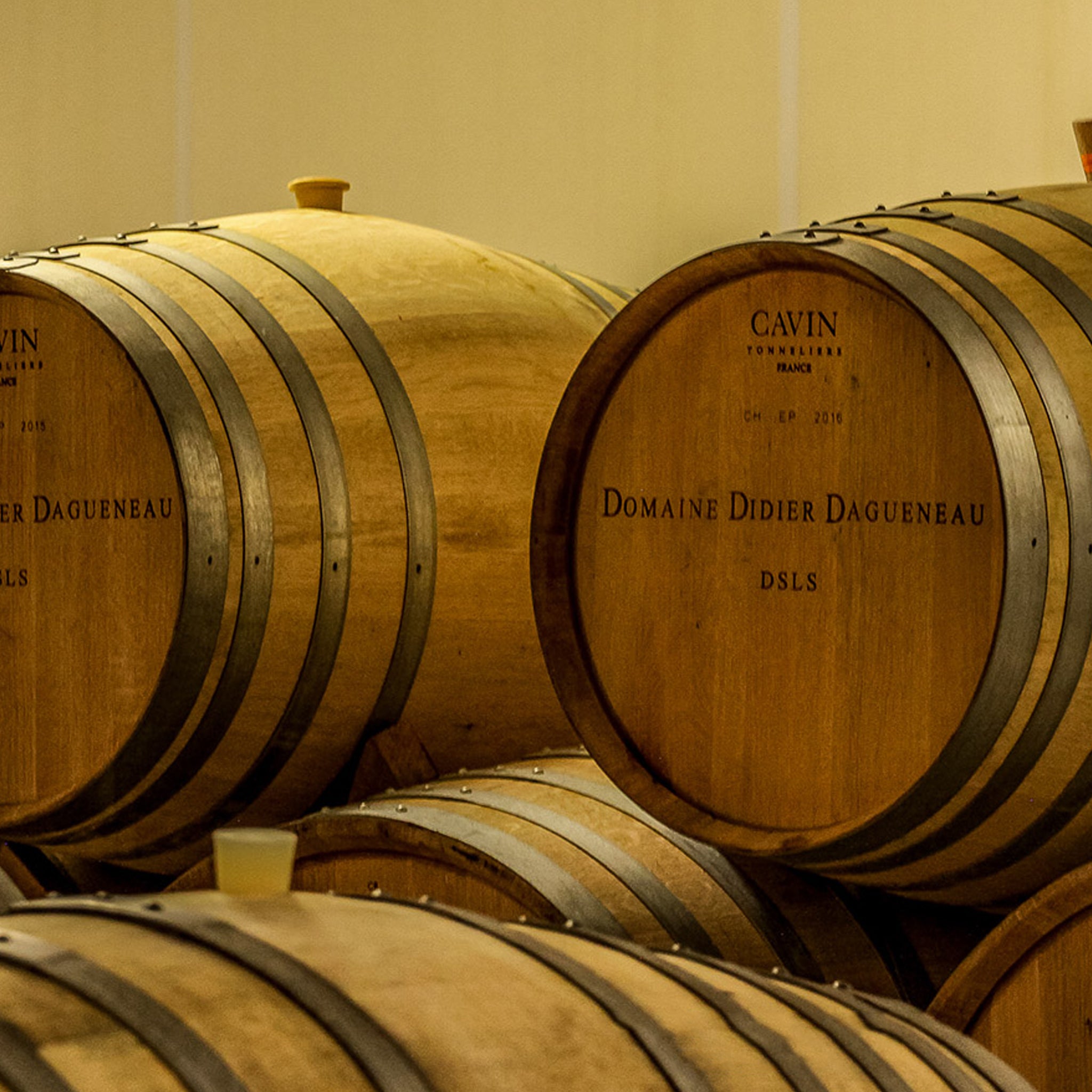 Domaine Didier Dagueneau Vin de France Le Mont Damné 2022