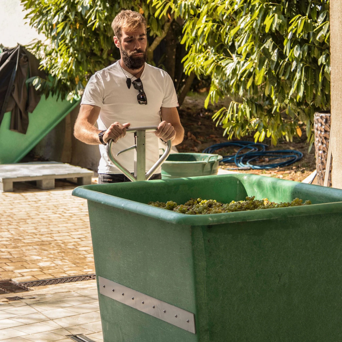 Domaine Didier Dagueneau Vin de France Buisson Renard 2022