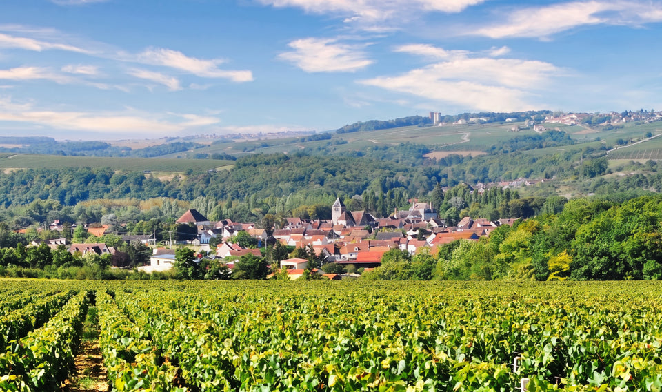 The Vineyard brand story