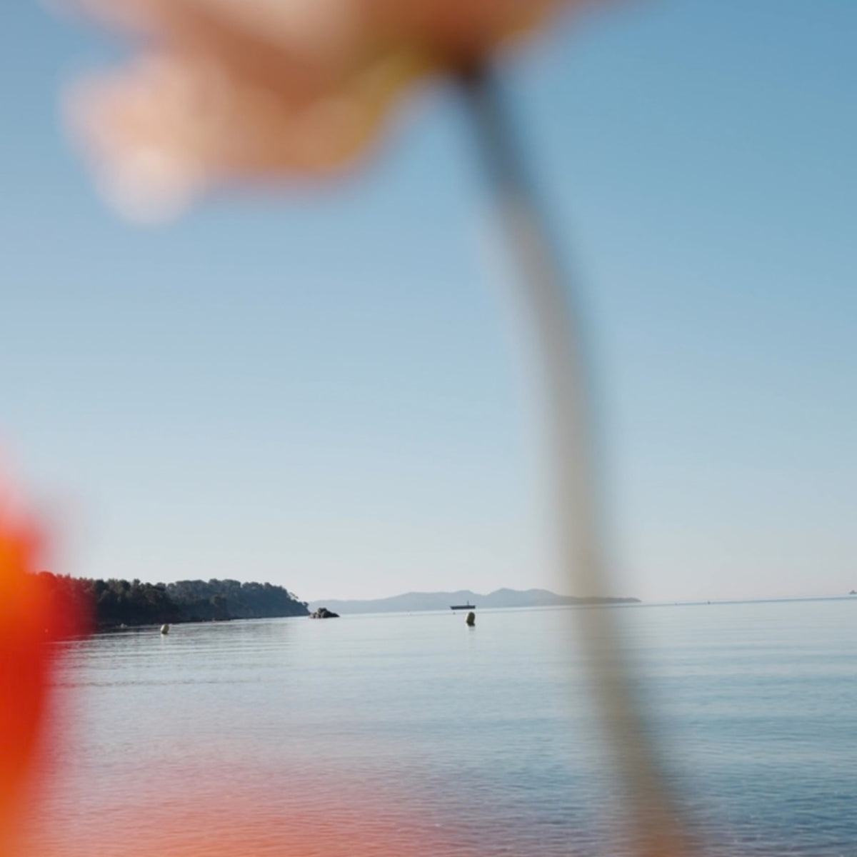 Domaines Ott Chateau Romassan Bandol Rose 2024