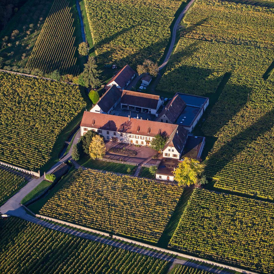 Domaine Weinbach brand story