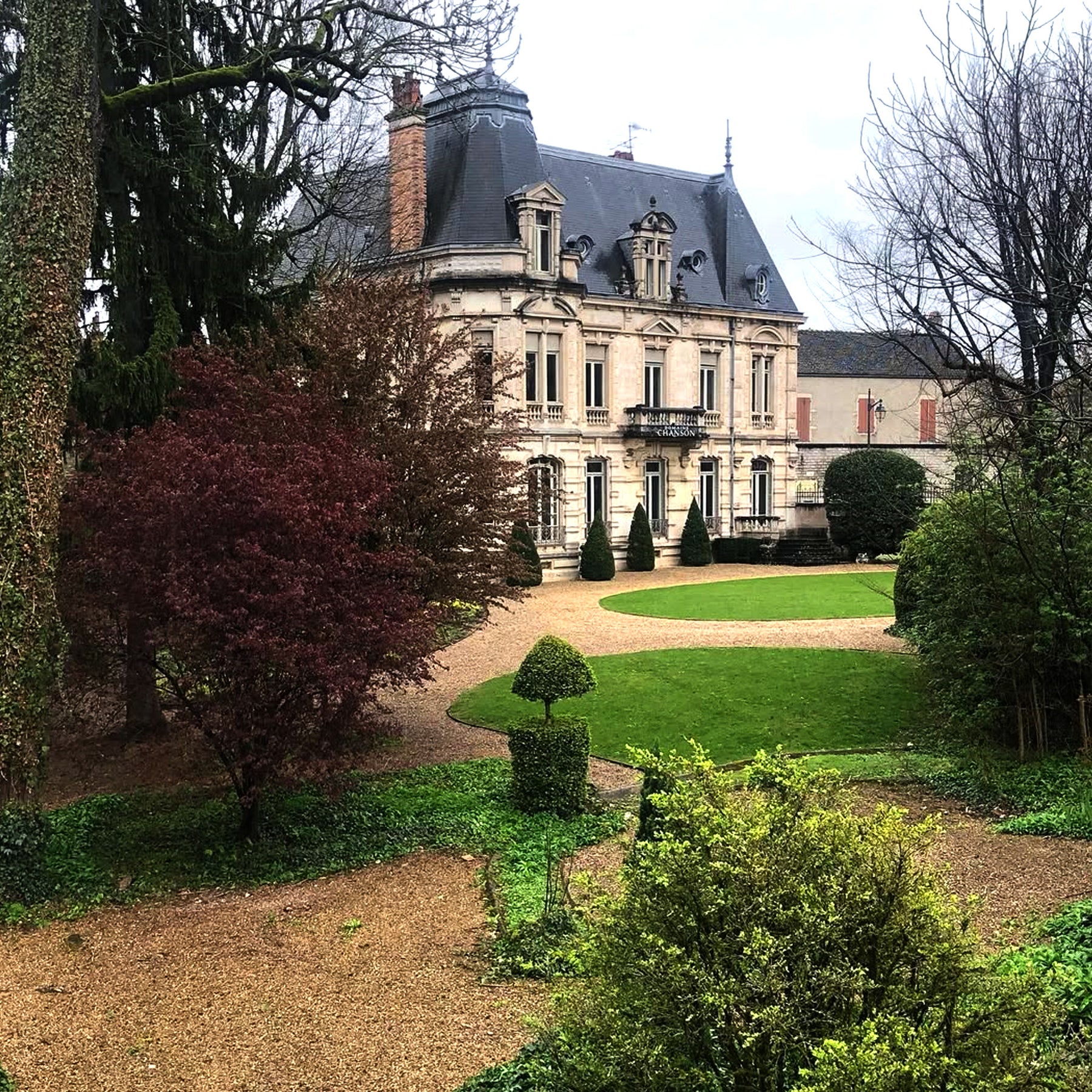 Domaine Chanson Beaune Le Clos Des Mouches 1er Cru Blanc 2020