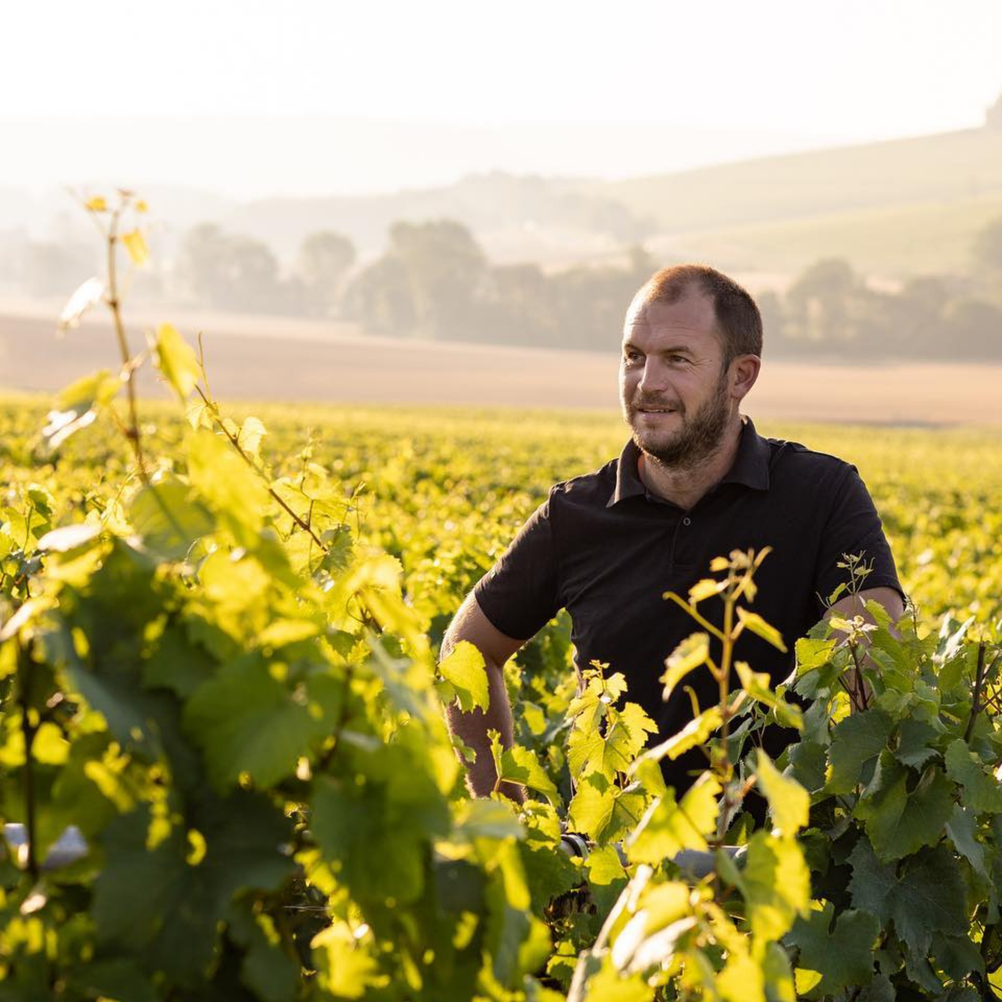 Domaine 47°N 3°E Chablis 2023
