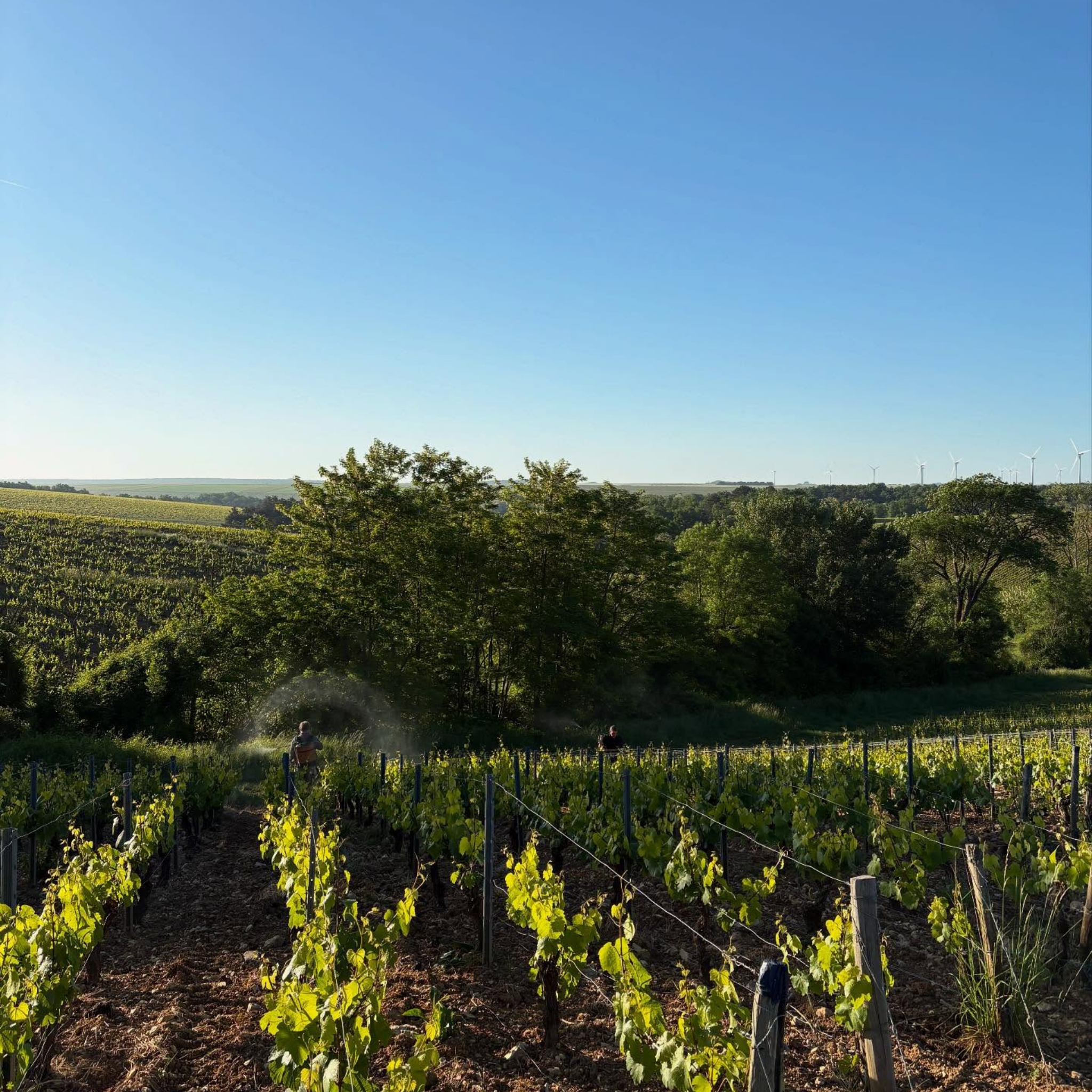 Domaine 47°N 3°E Chablis 2023