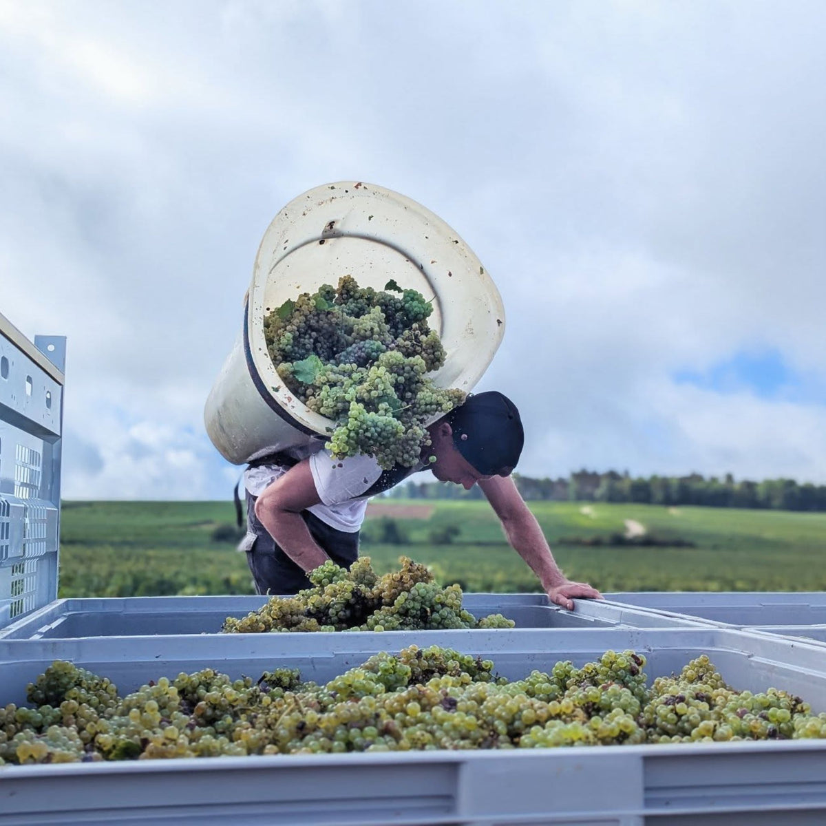 Domaine Jean Dauvissat Chablis 1er Cru Côtes de Léchet 2023