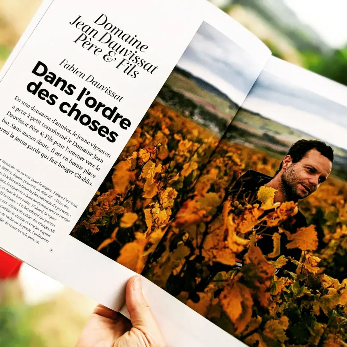 Domaine Jean Dauvissat Pere & Fils Chablis 2023 1.5L