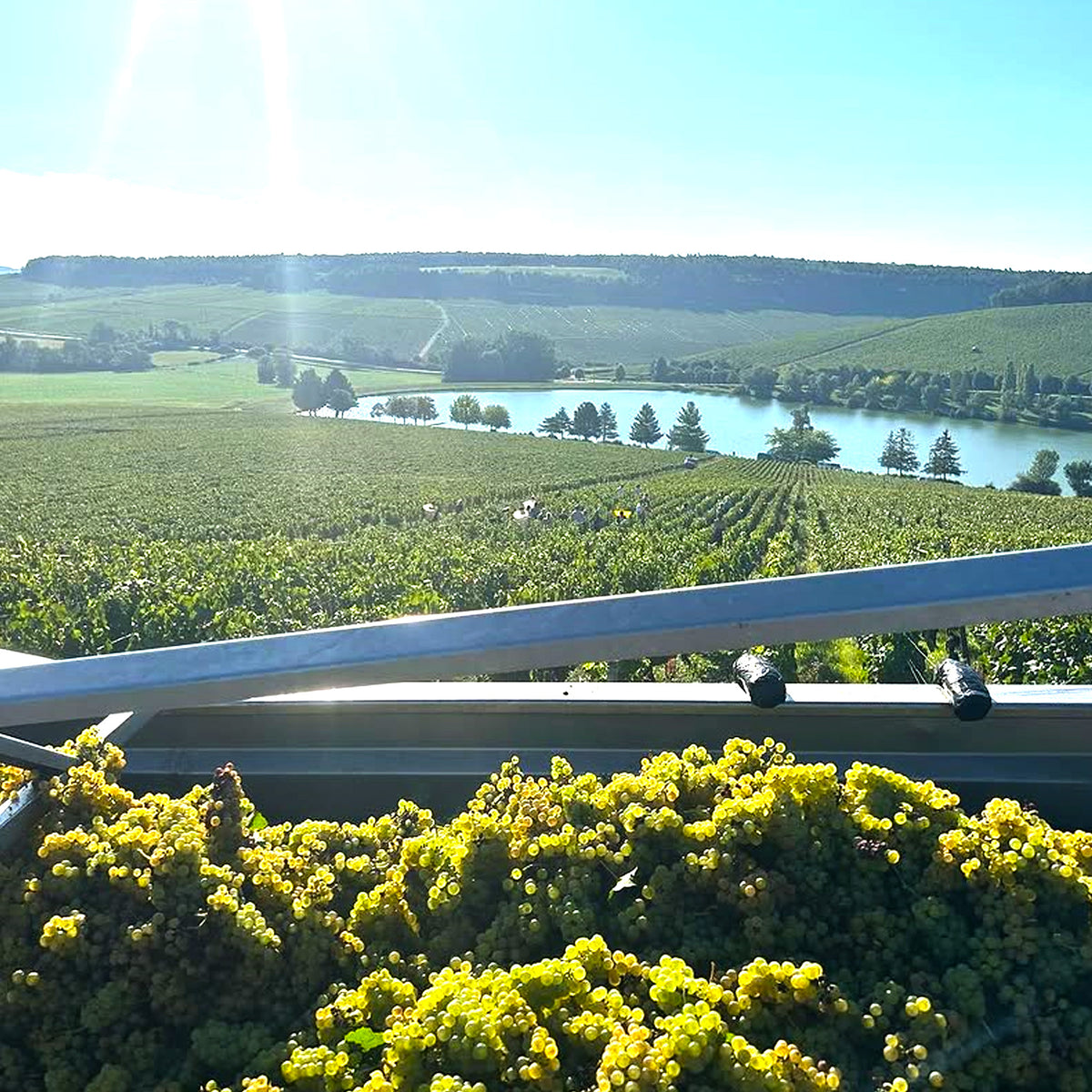 Domaine 47°N 3°E Chablis 2022