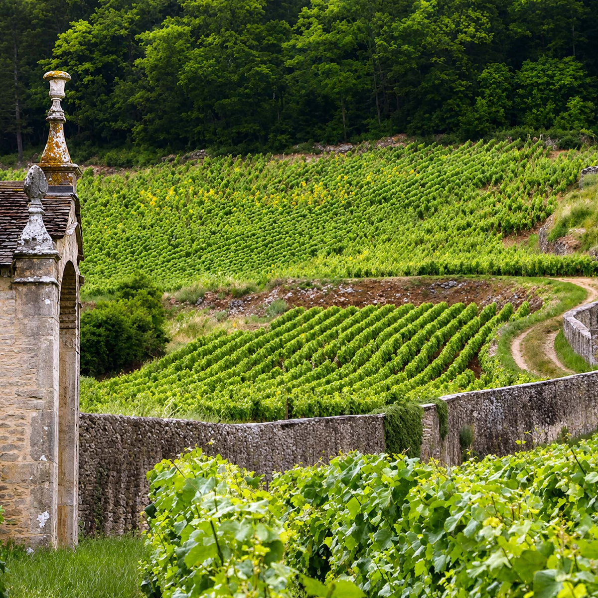 Domaine Armand Rousseau Clos de la Roche Cru 2023