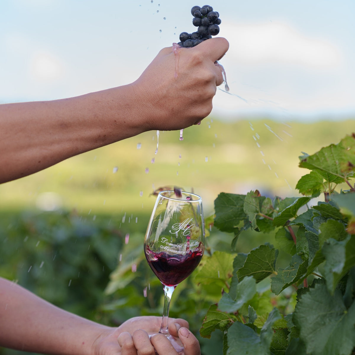 Domaine Collotte Gevrey-Chambertin 2023