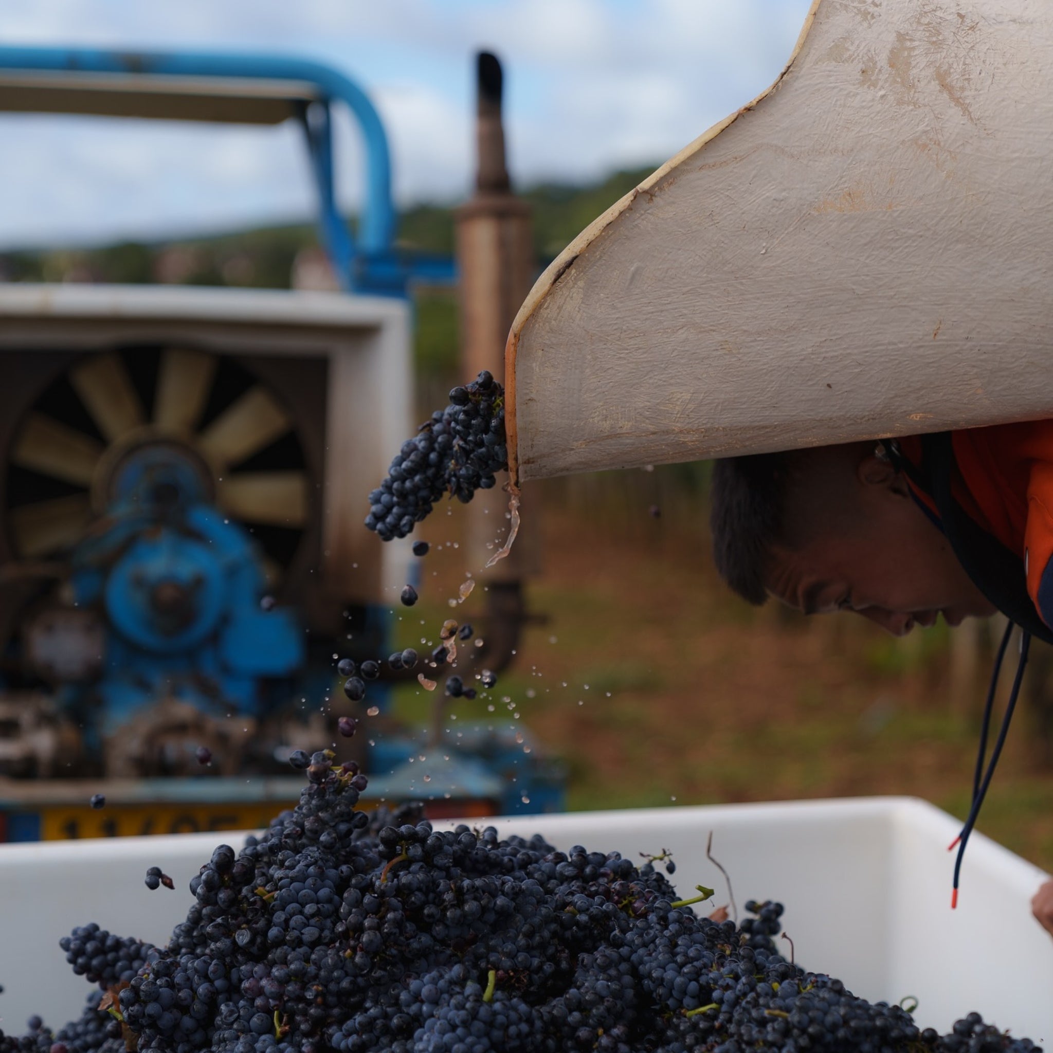 Domaine Collotte Gevrey-Chambertin 2023