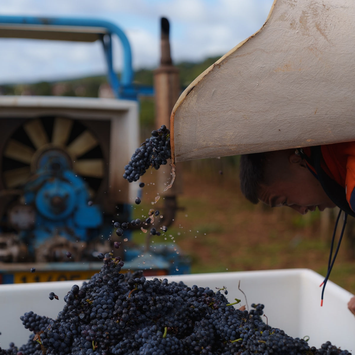 Domaine Collotte Gevrey-Chambertin 2023