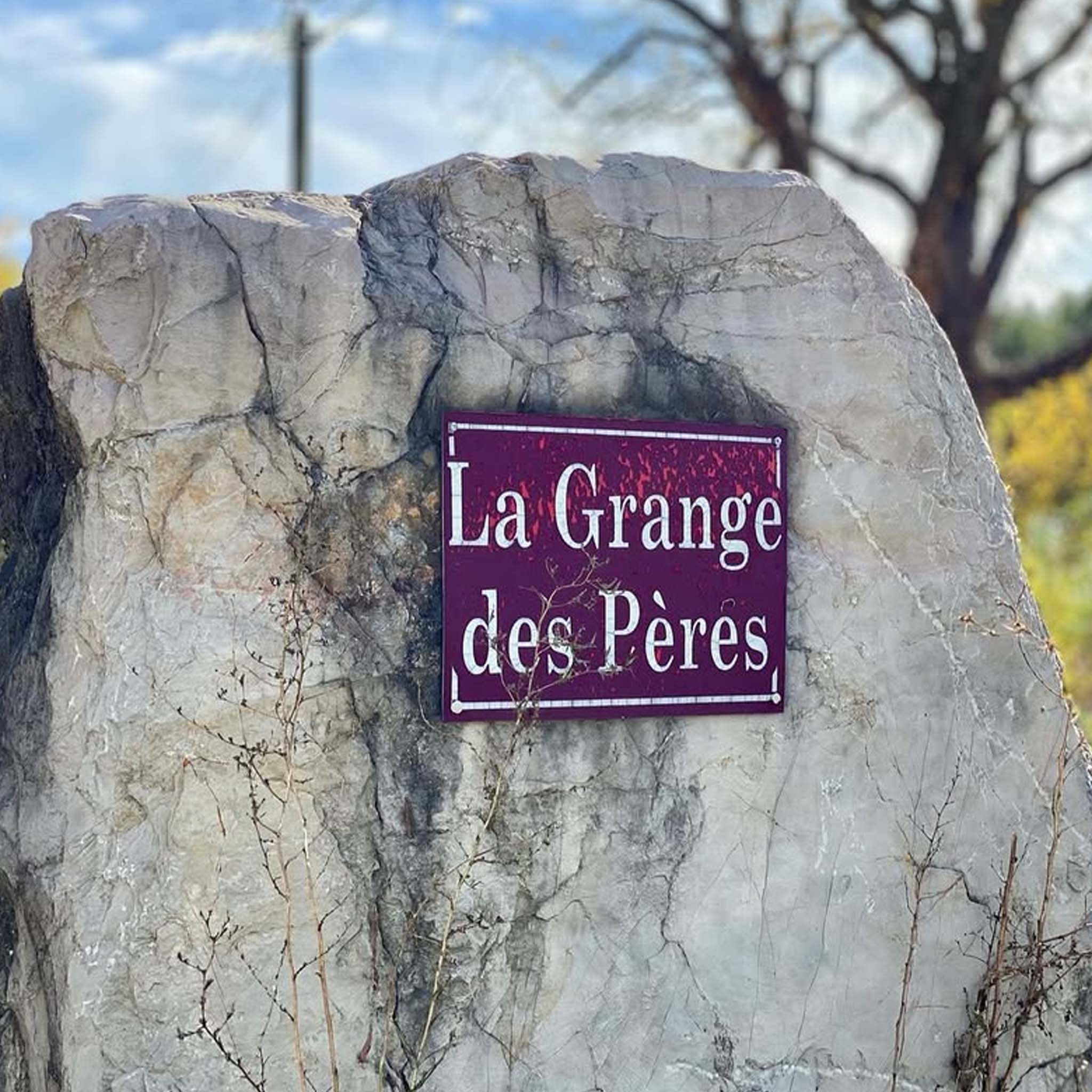 Domaine De La Grange des Pères Rouge 2022