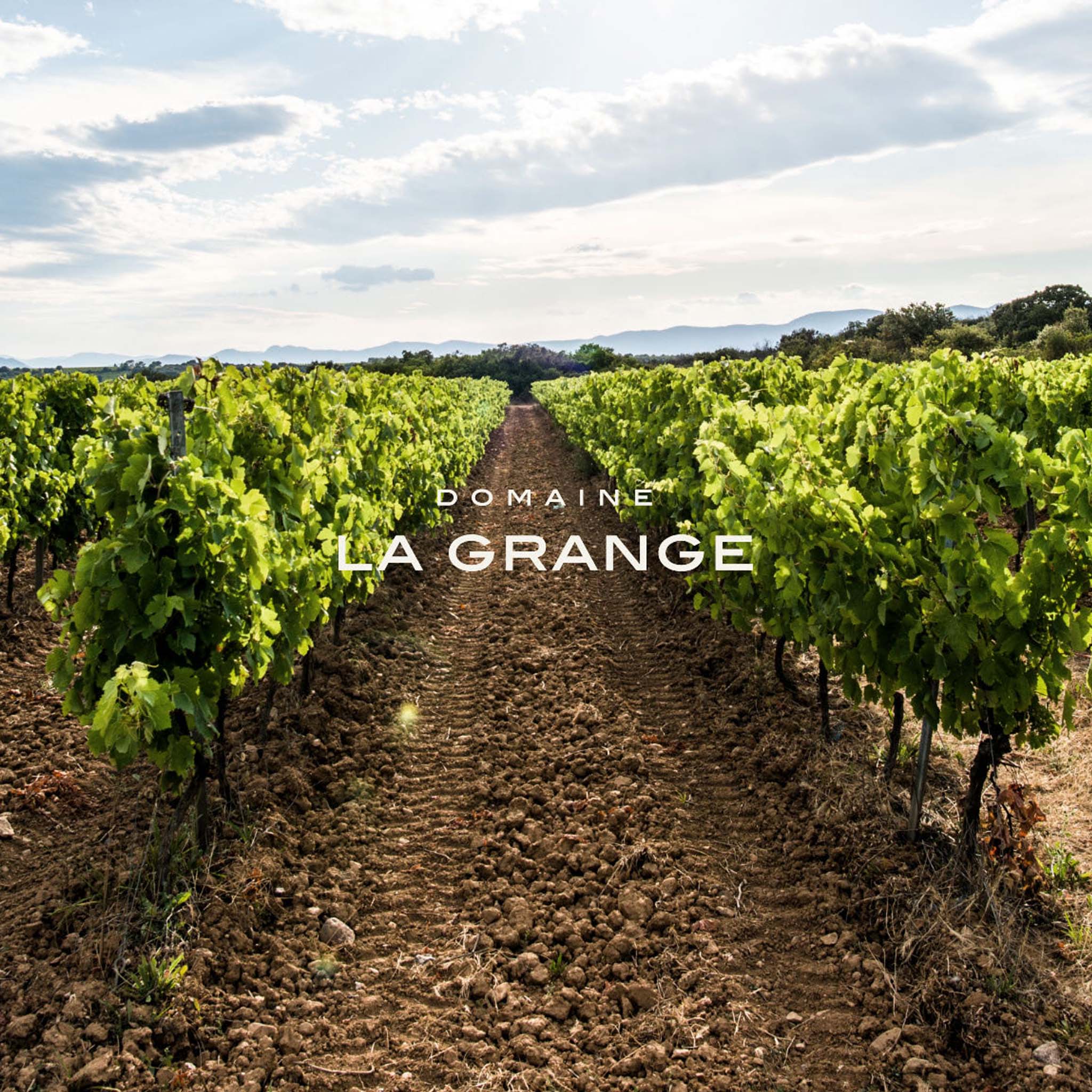 Philosophy | Domaine De La Grange des Pères