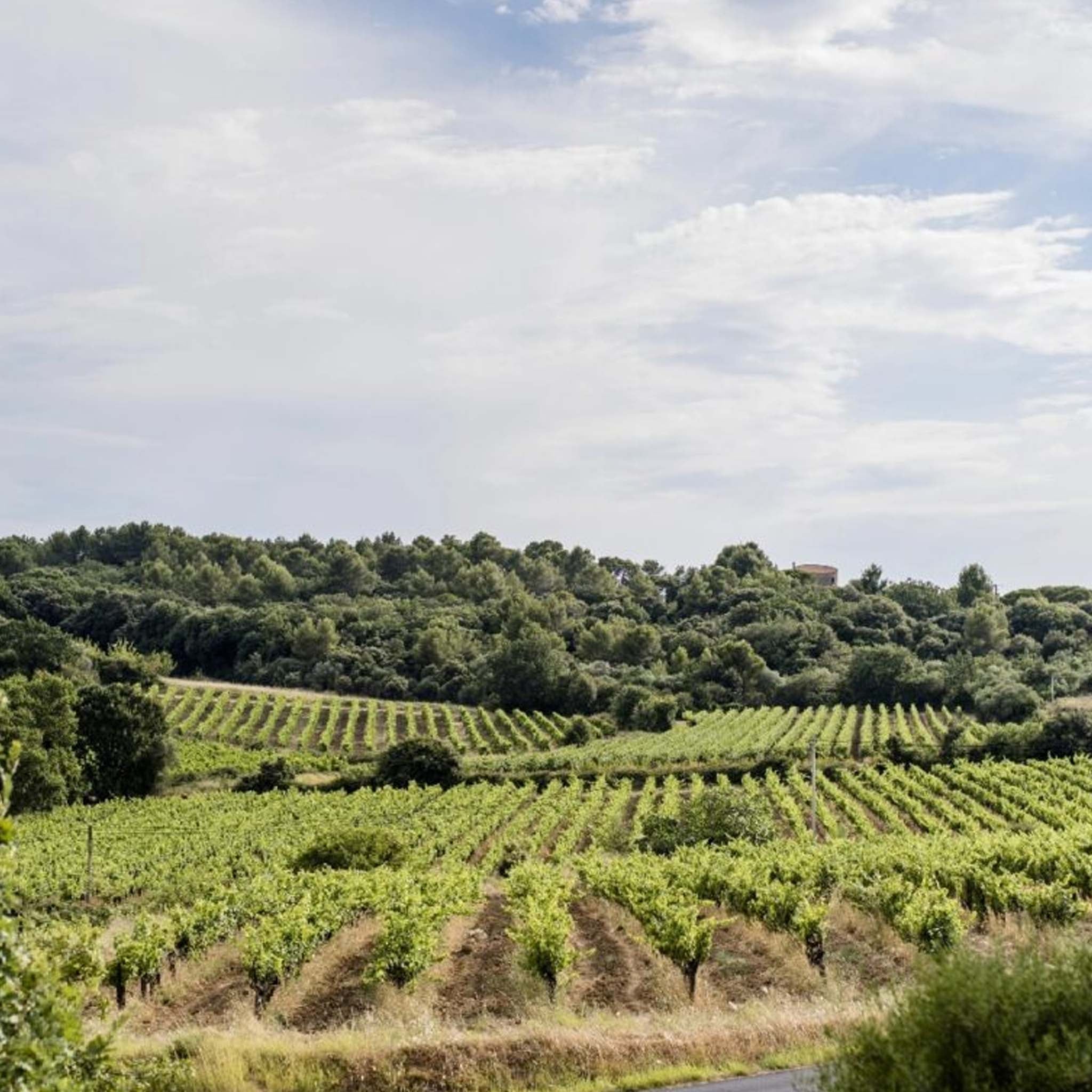 Domaine De La Grange des Pères Rouge 2022