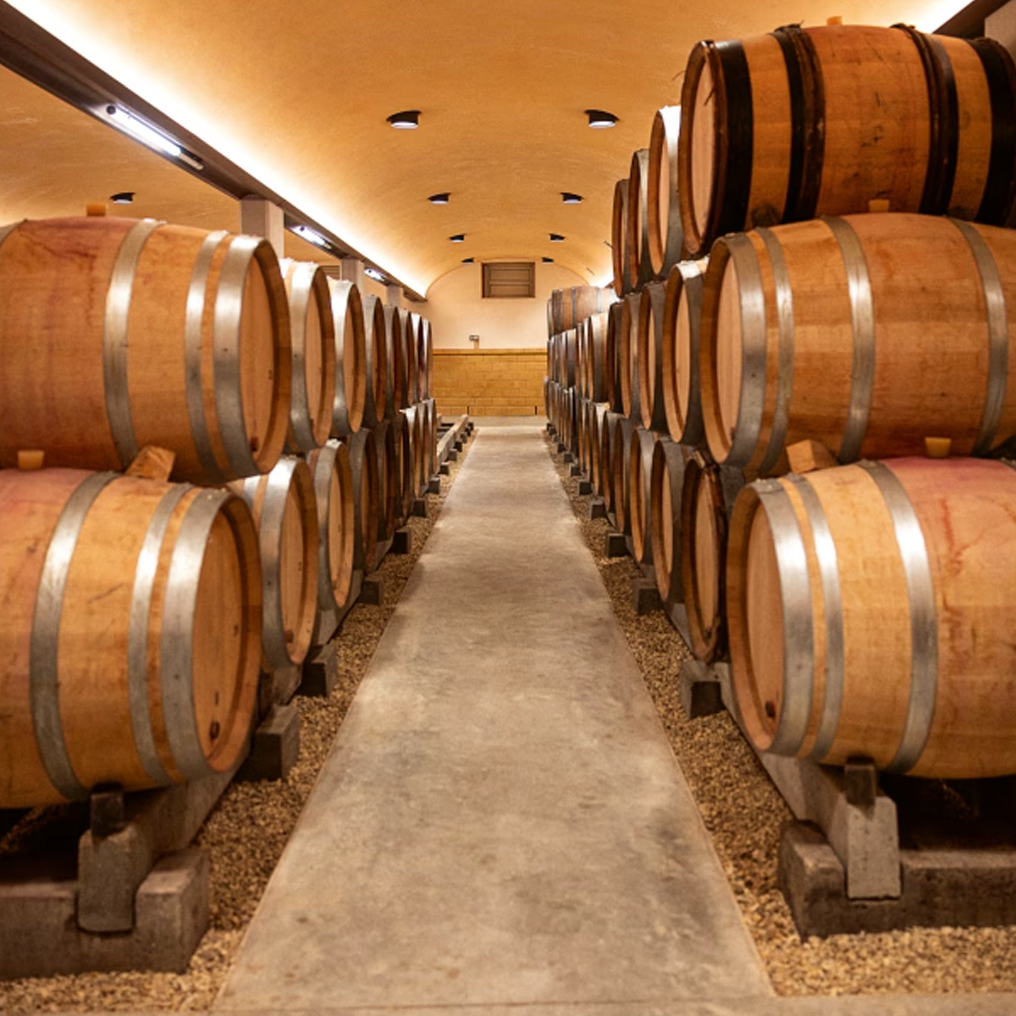 Domaine Dujac Fils et Pere Gevrey Chambertin 2022