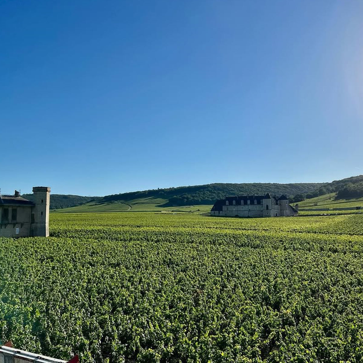 Domaine Dujac Morey Saint Denis 1er Cru Rouge 2022
