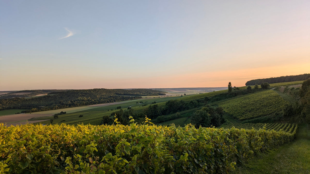 Domaine Edouard Confuron