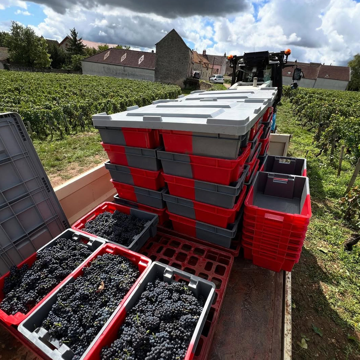 Domaine Henri & Philippe Jouan Morey Saint Denis 1er Cru Clos Sorbe 2023