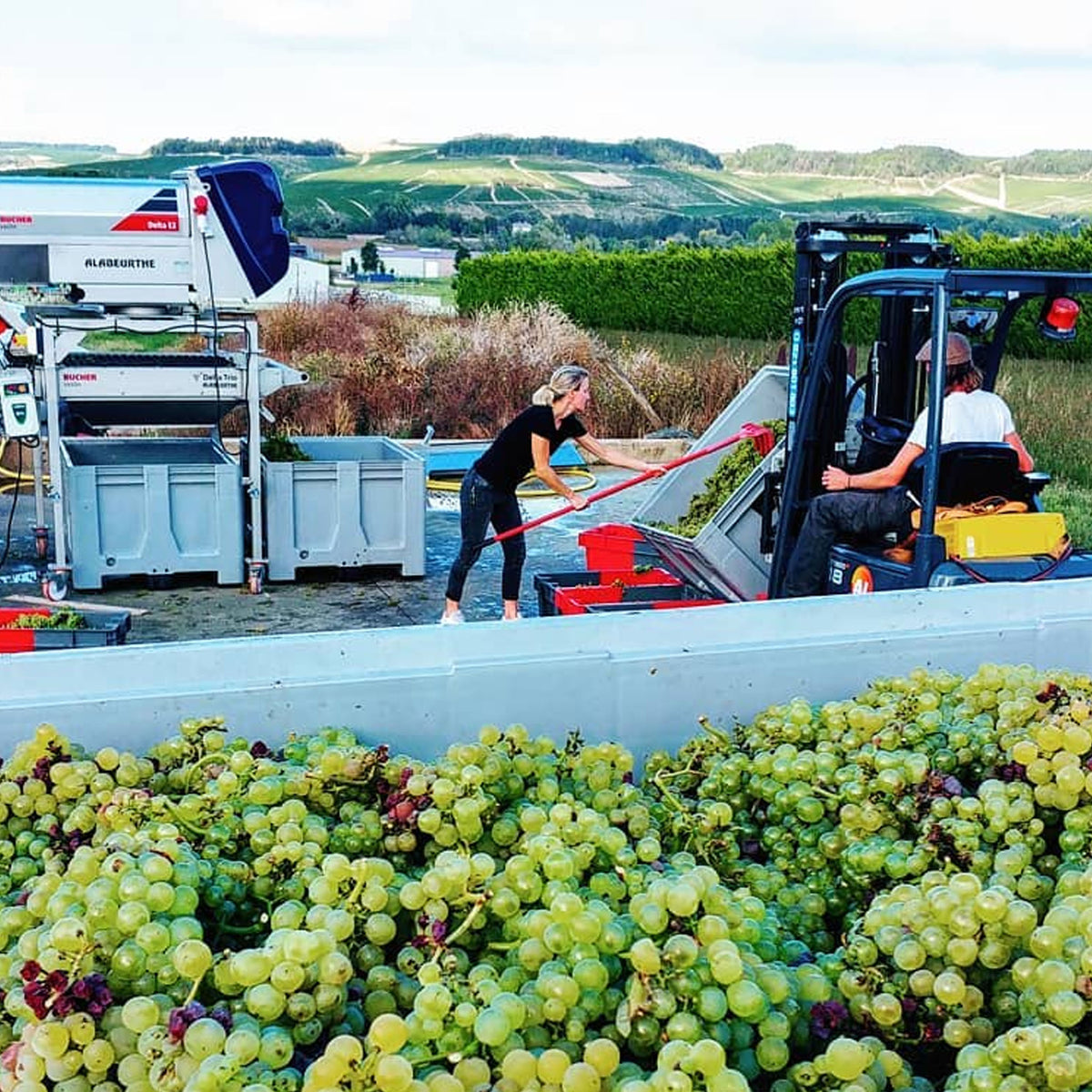 Domaine Jean Dauvissat Pere & Fils Chablis Bas De Fourchaumes 2023