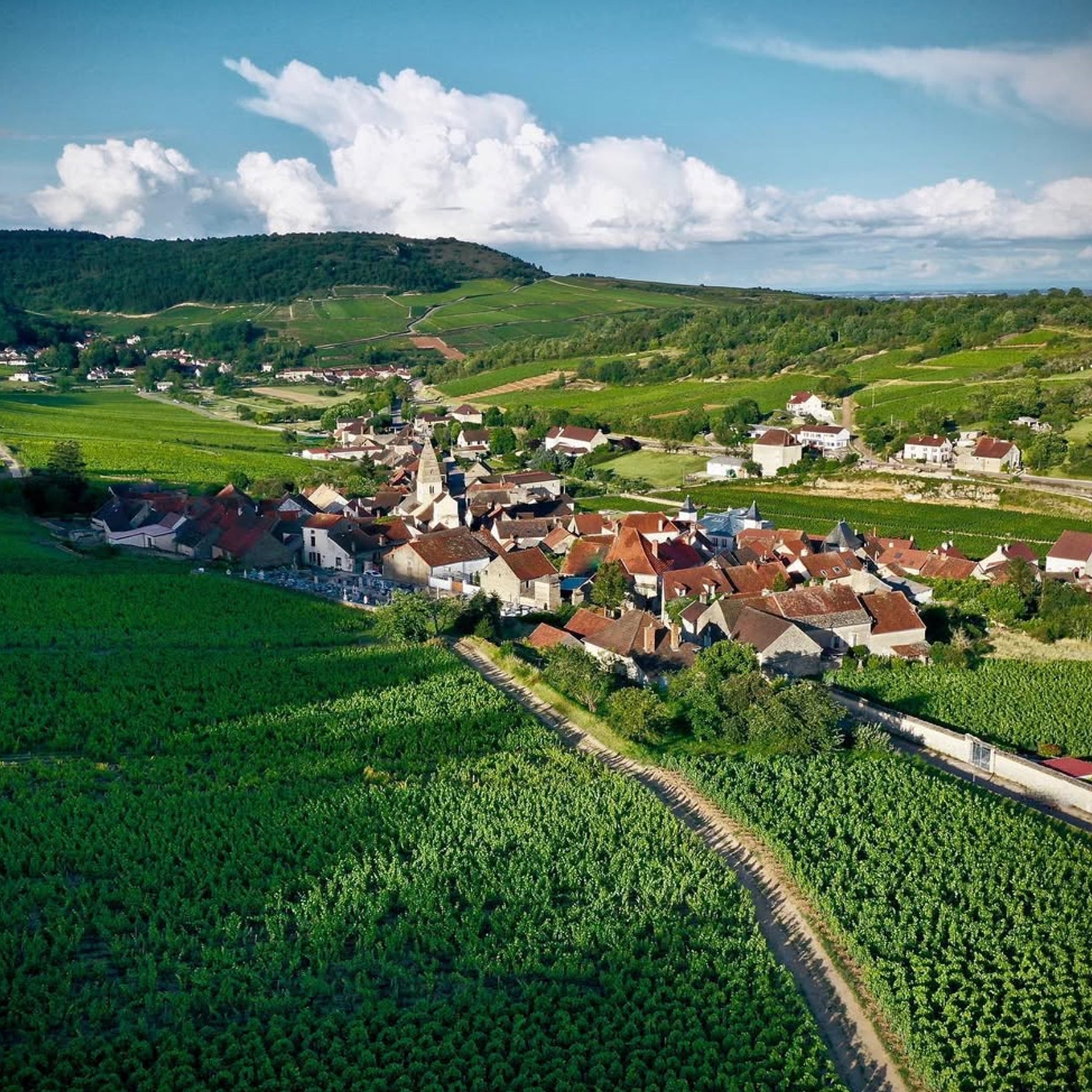 Domaine Joseph Colin Saint Aubin 1er cru 'Pitangeret' 2023