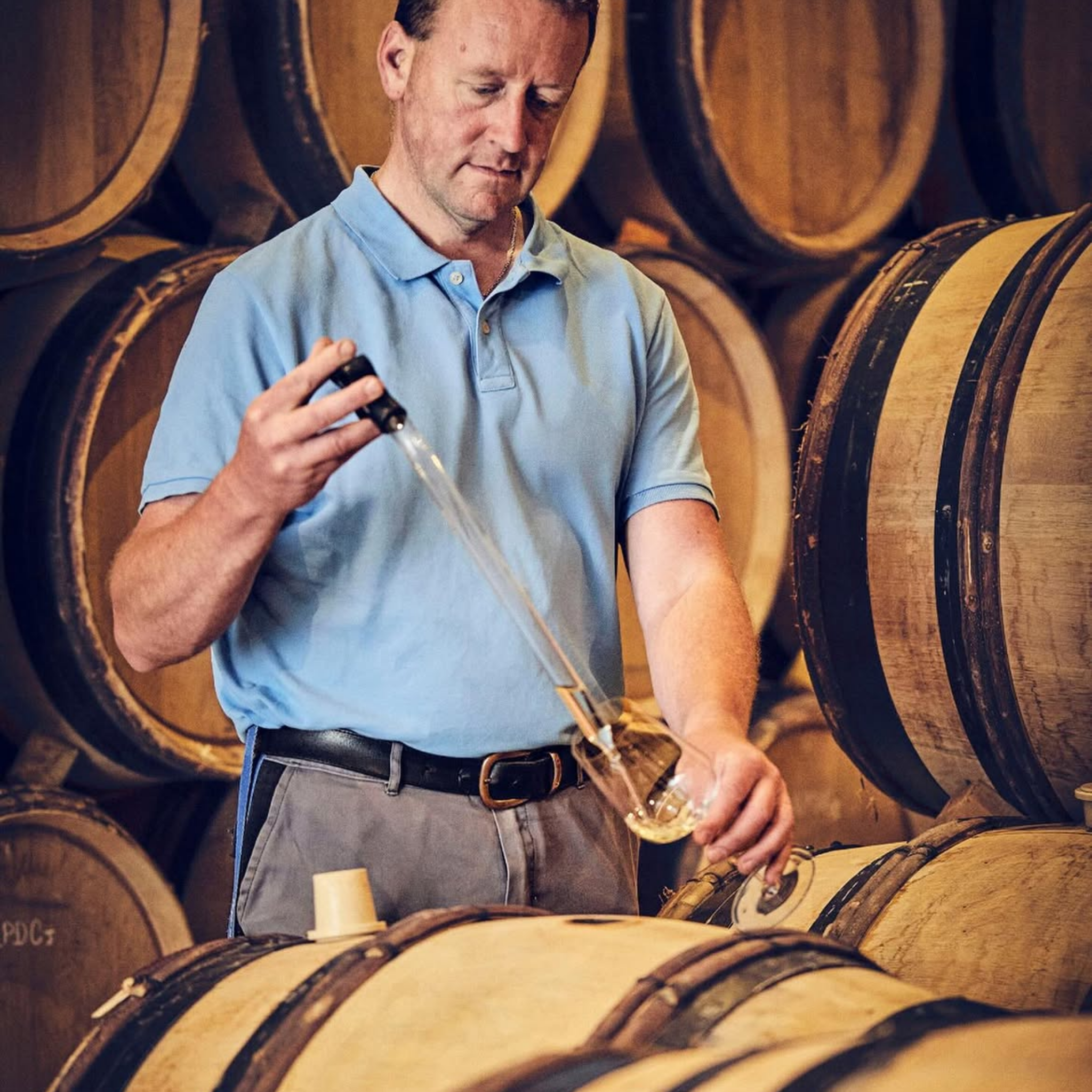 The Philosophy | Domaine Leflaive