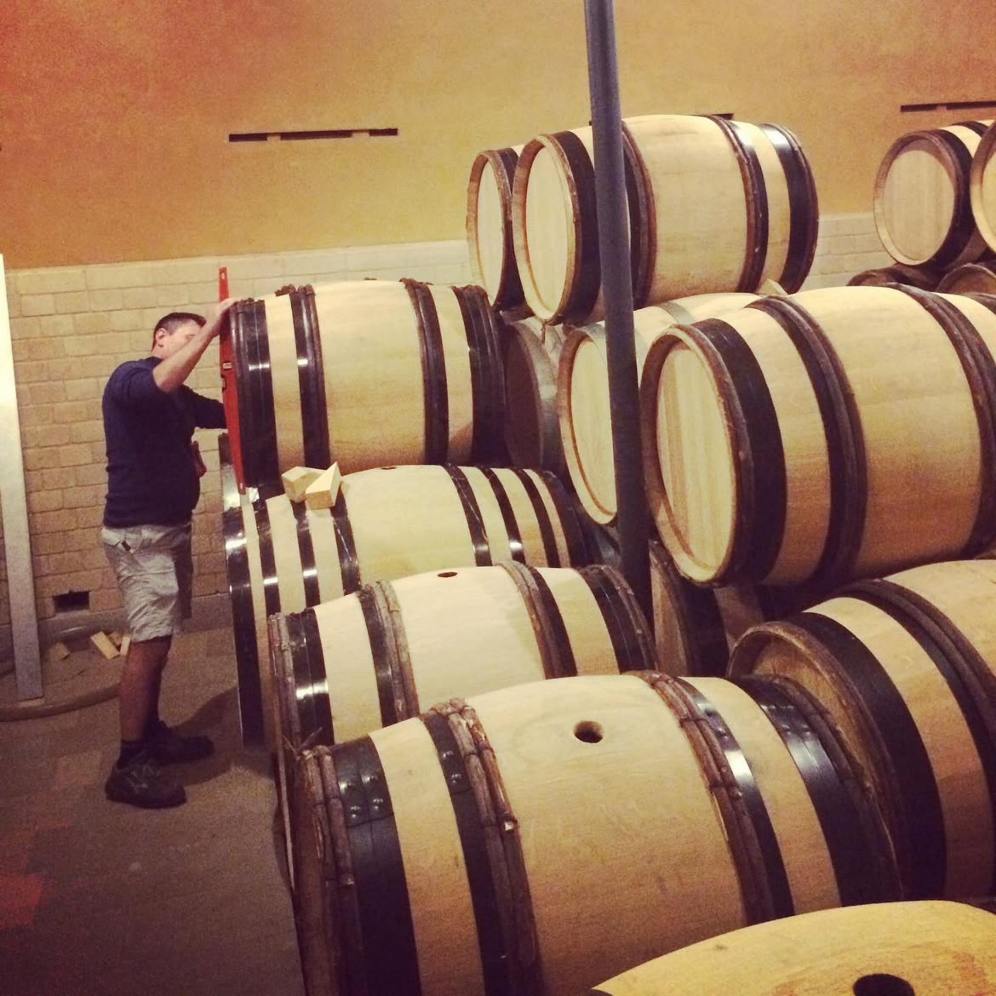 Domaine Leflaive Macon Verzé ‘La Jobeline’ 2024