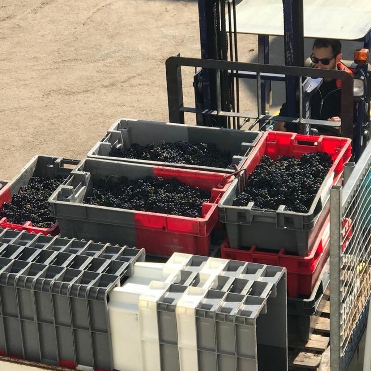 Domaine Marquis d'Angerville Volnay 1er Cru Champans 2022