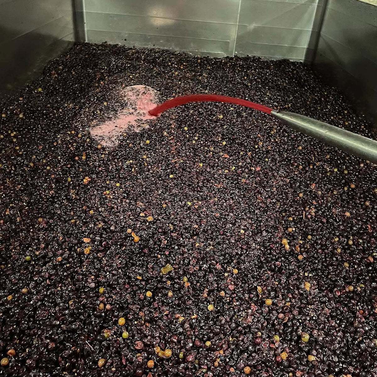 Domaine Matrot Volnay 1er Cru Santenots 2023