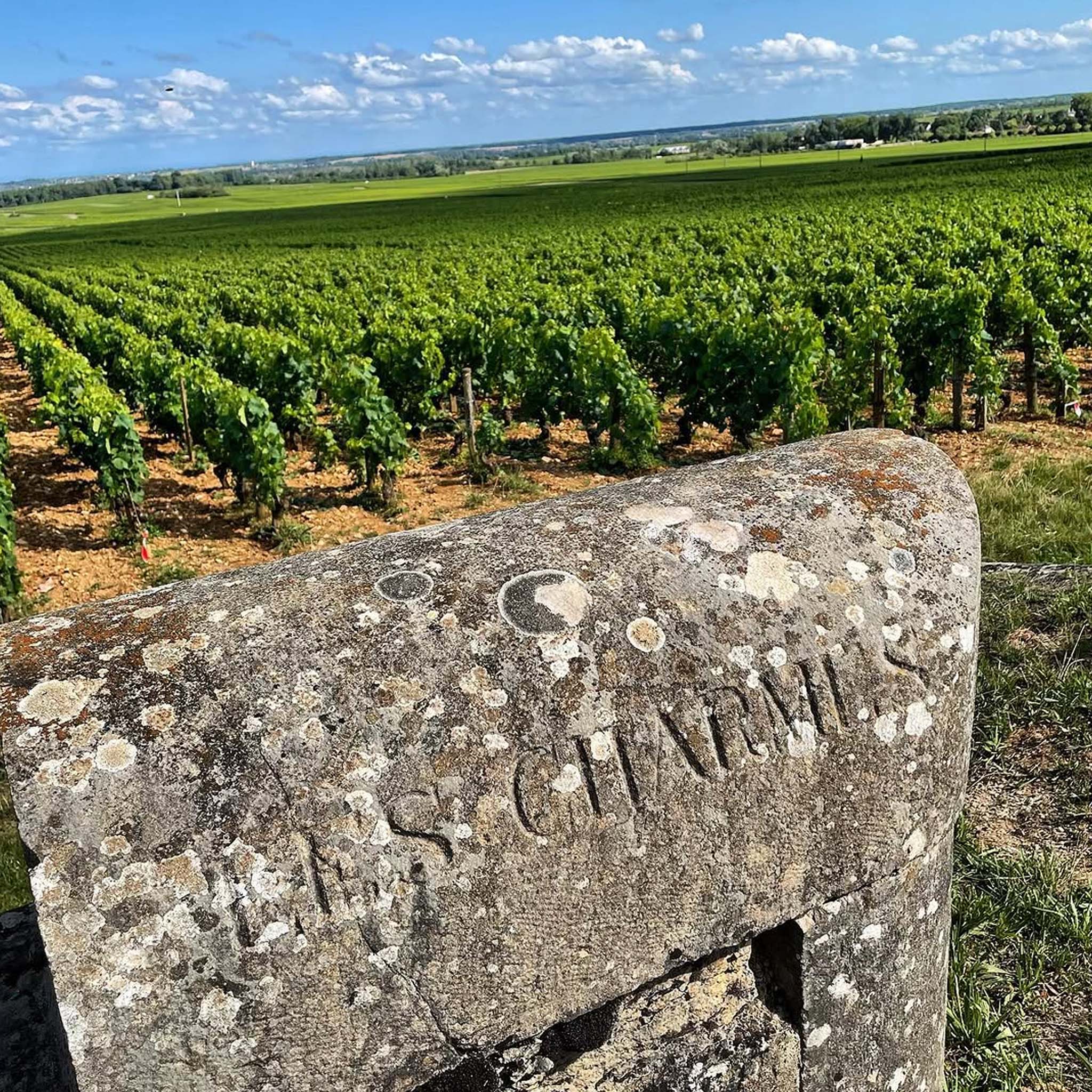 Philosophy | Domaine Matrot