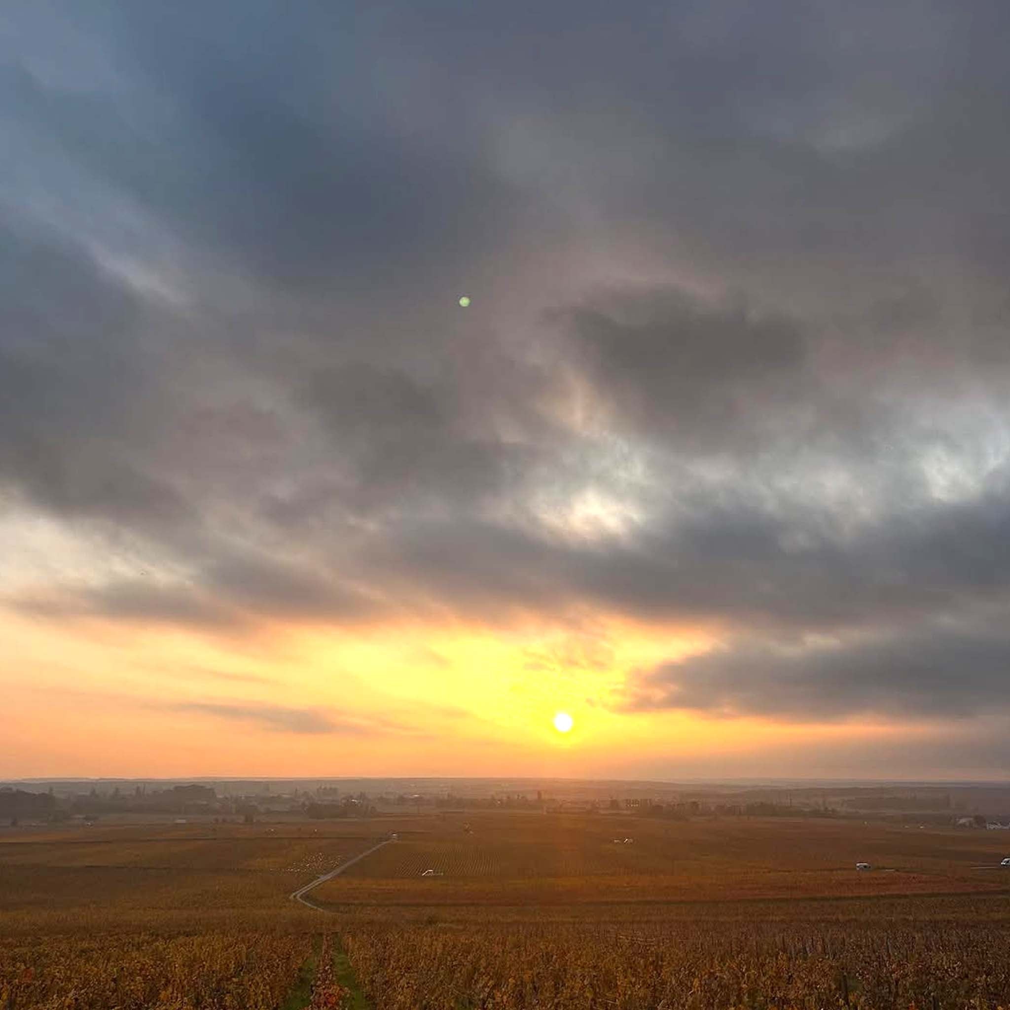 Philosophy | Domaine Méo-Camuzet