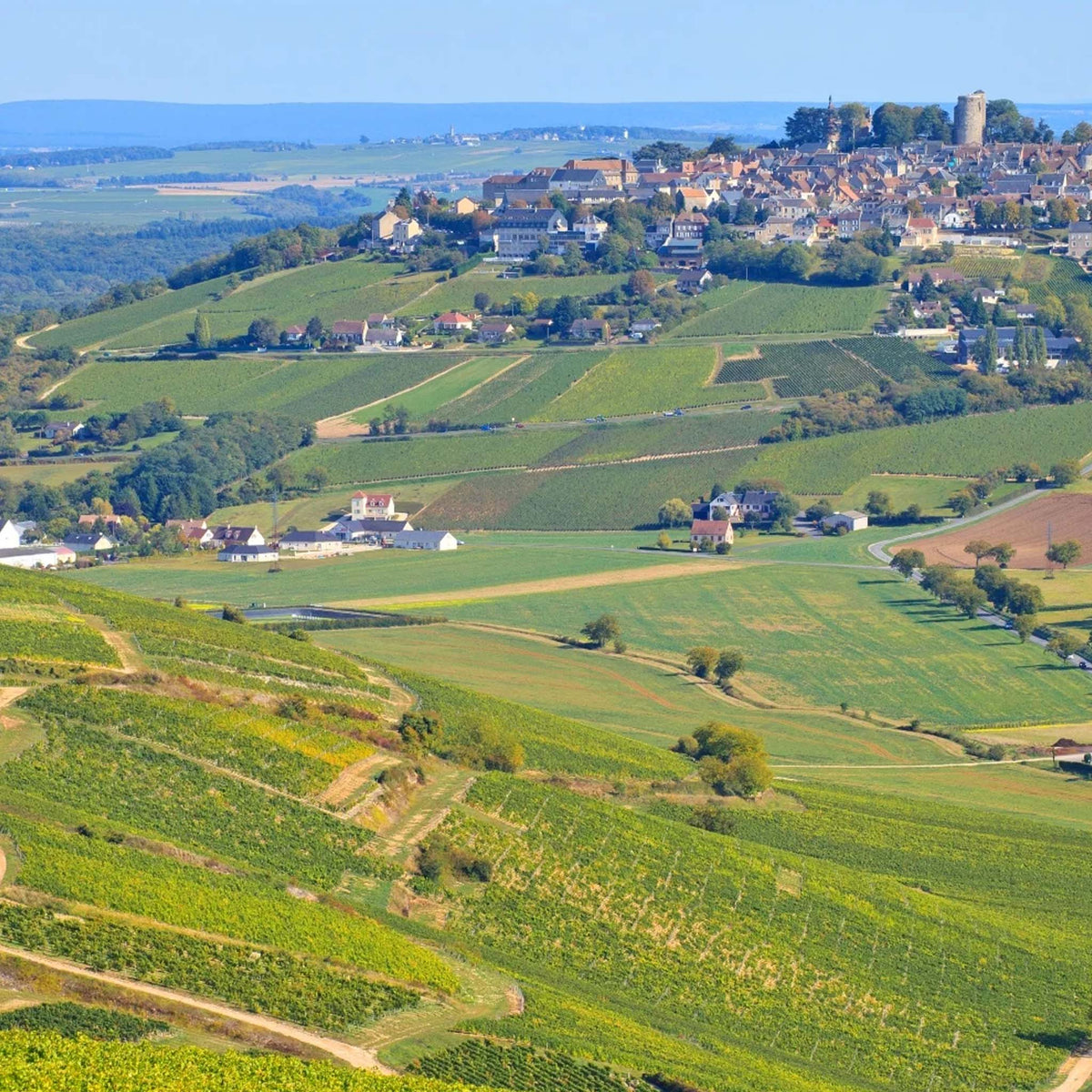 Domaine Pascal Cotat Sancerre La Grande Cote 2024