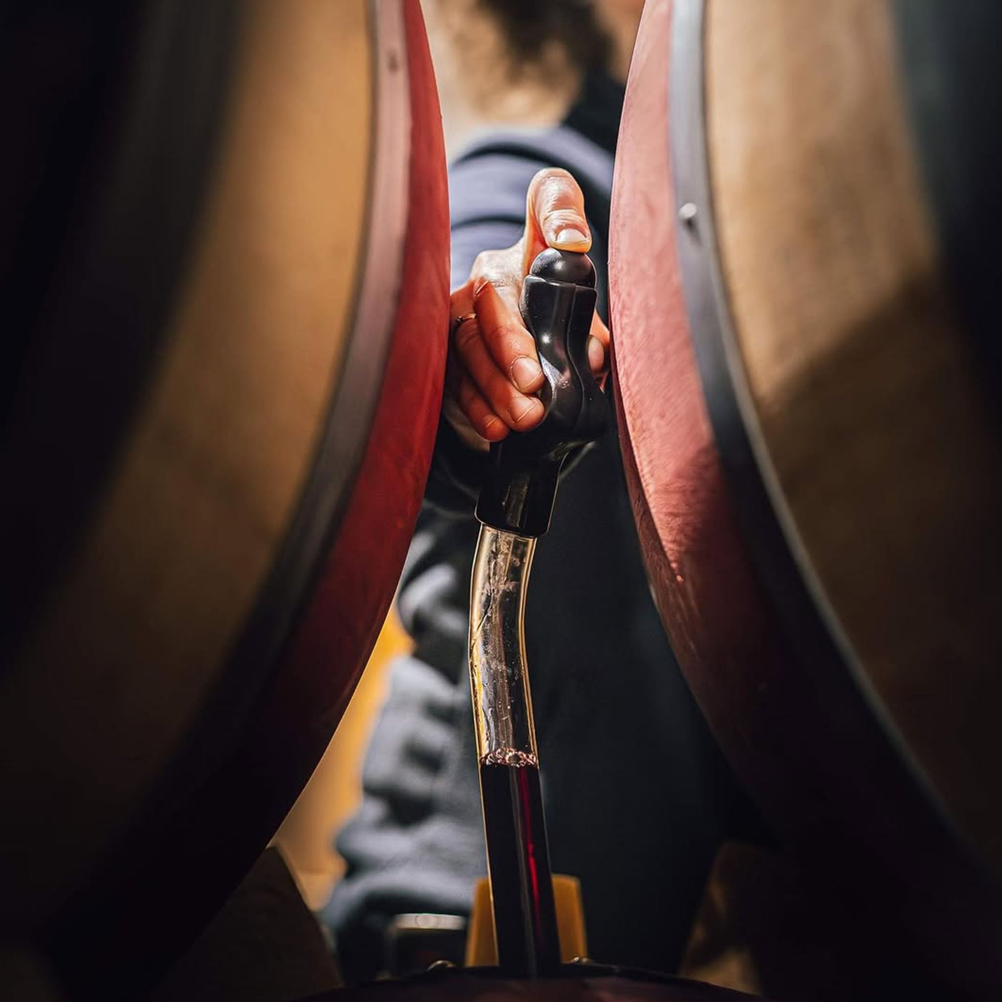 Philosophy | Paul Jaboulet Aîné