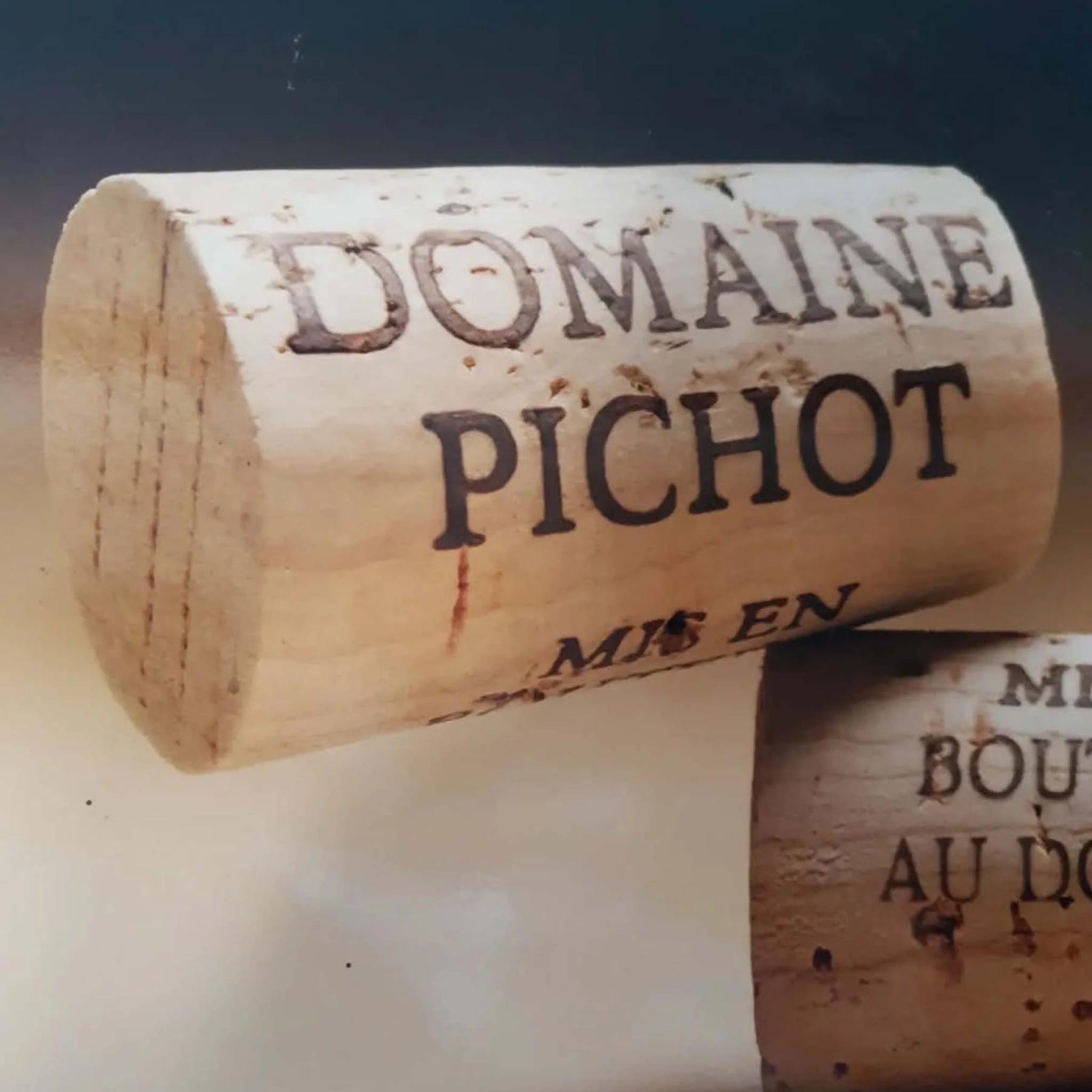 Domaine Pichot Coteau de la Biche Vouvray Sec 2024