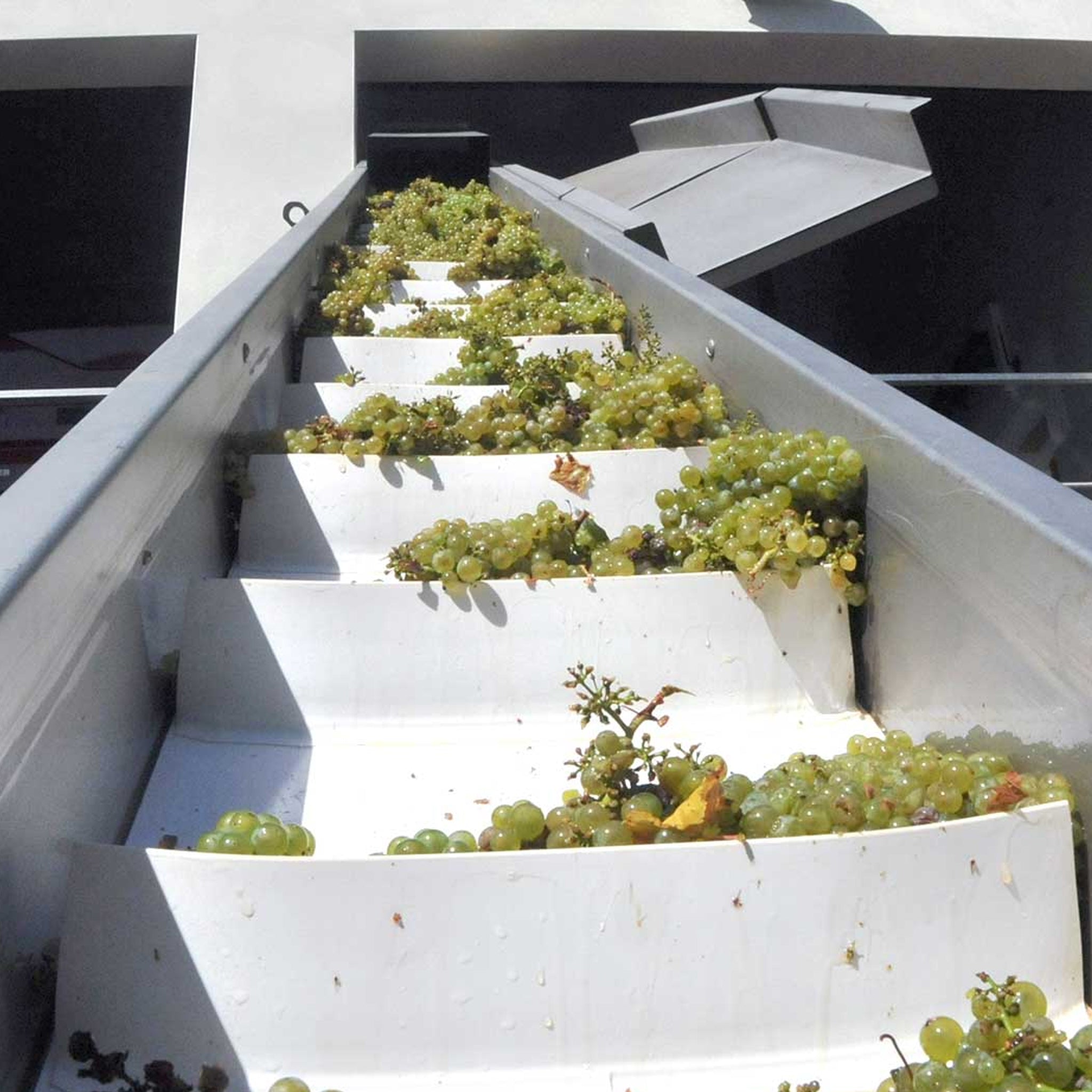 Domaine Samuel Billaud Chablis Grand Cru Les Clos 2021