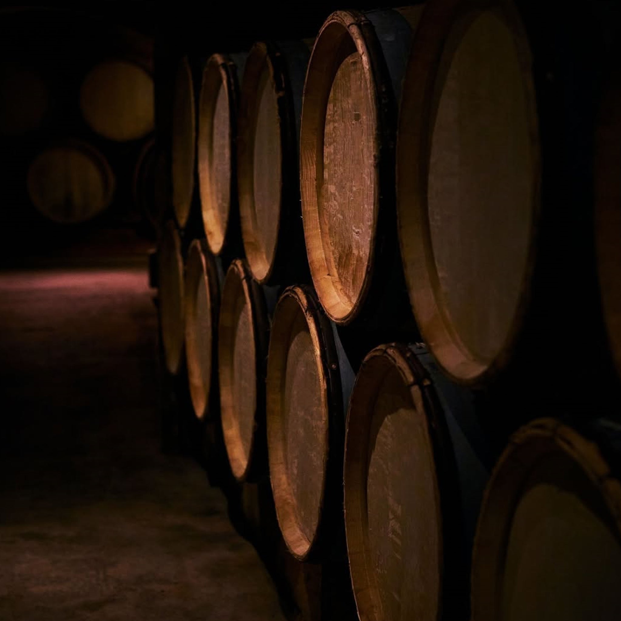 Domaine Vacheron Sancerre Blanc 2022