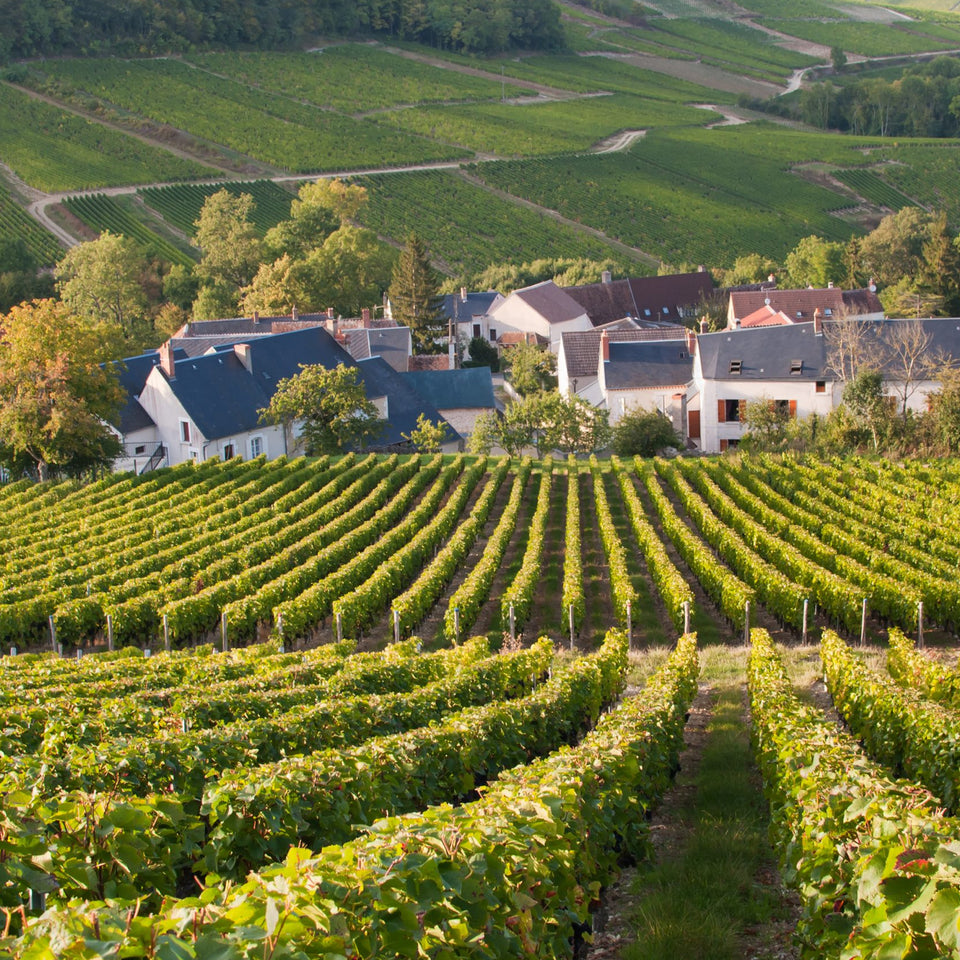The Vineyard brand story