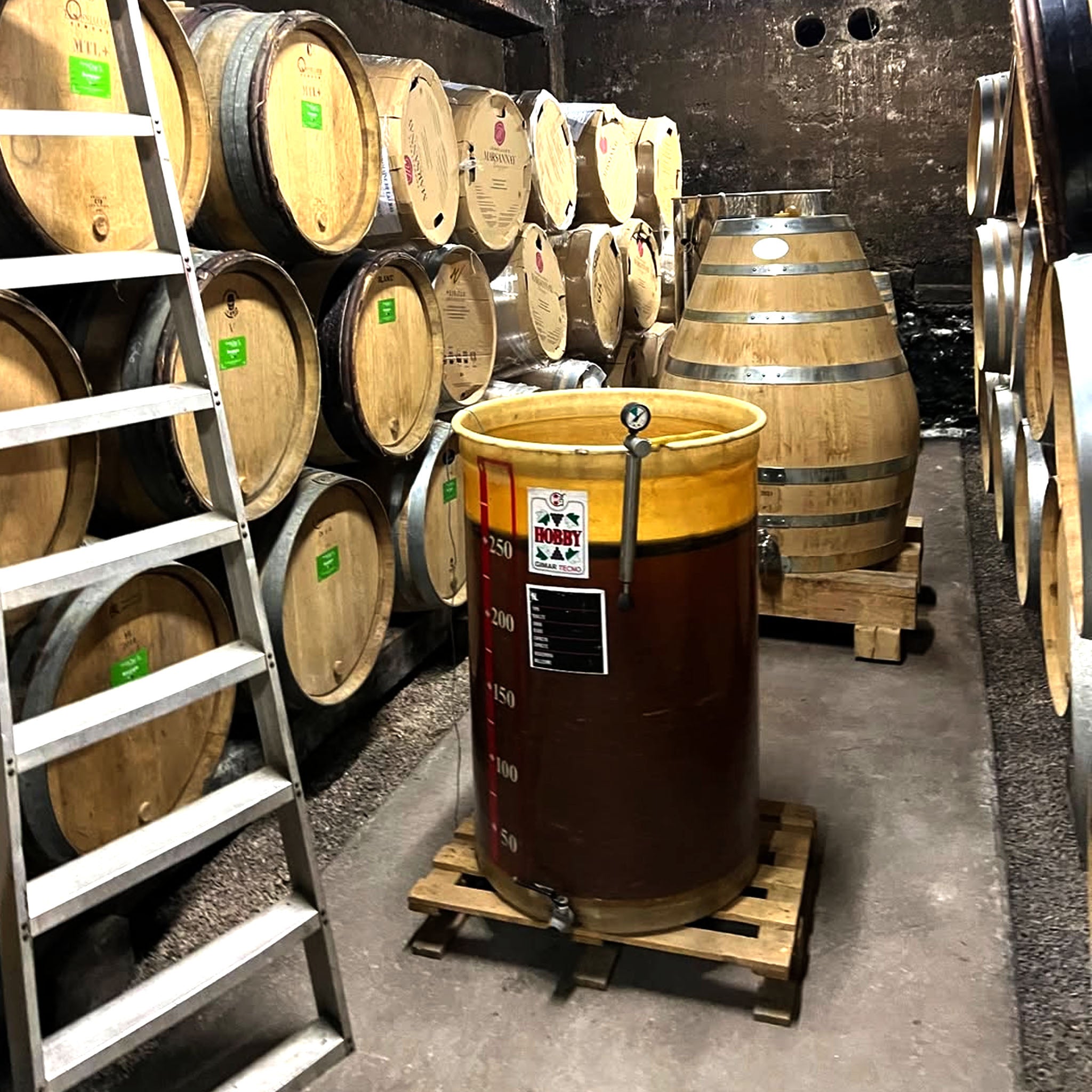 Domaine de la Cras 'Cras' Monopole Bourgogne Blanc 2022