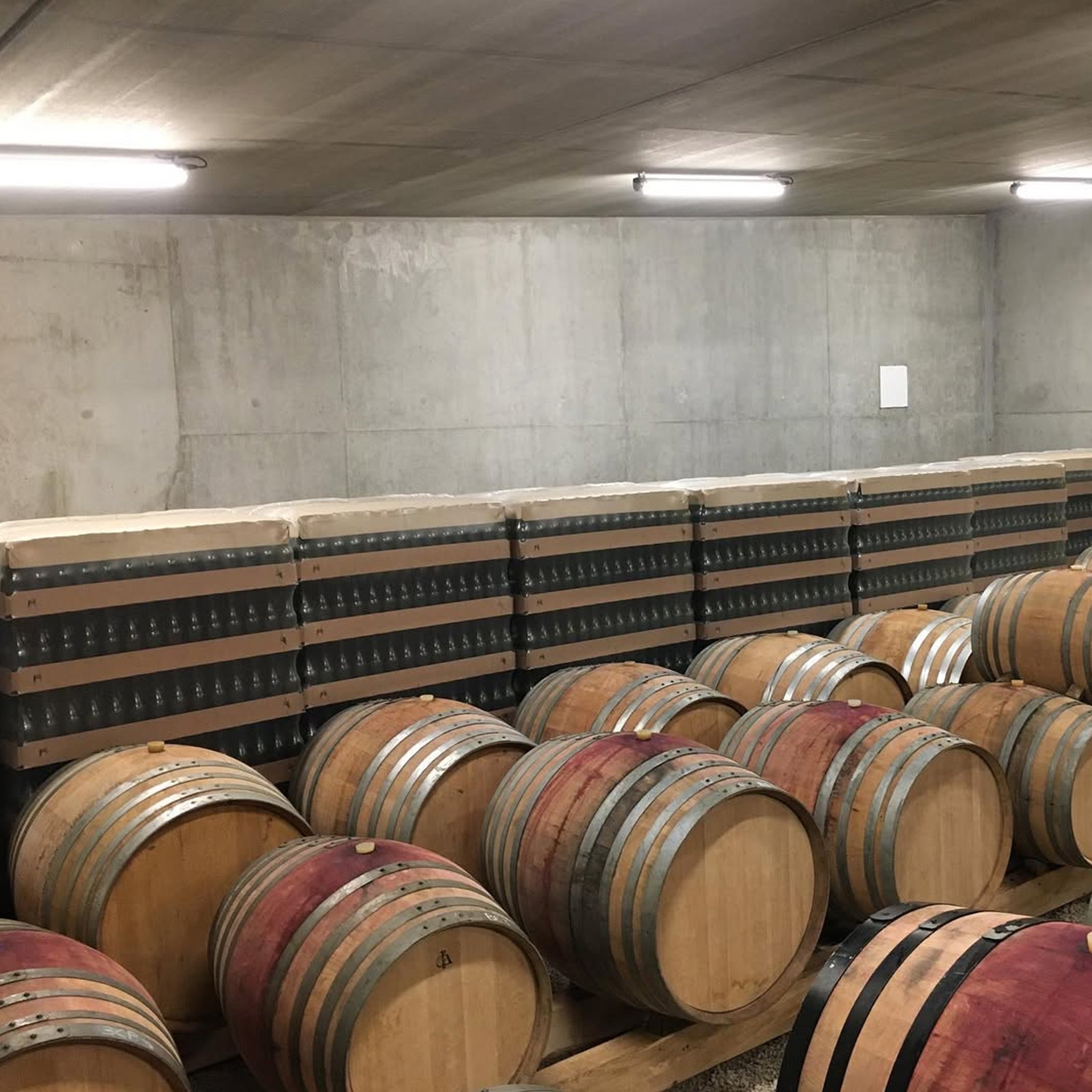 Domaine du Pélican Arbois Savagnin Ouillé 2023