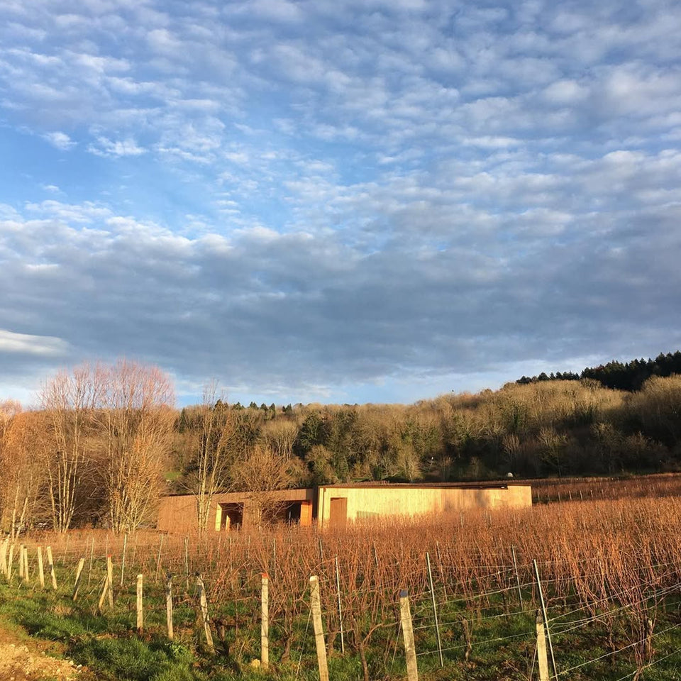 Domaine du Pélican brand story