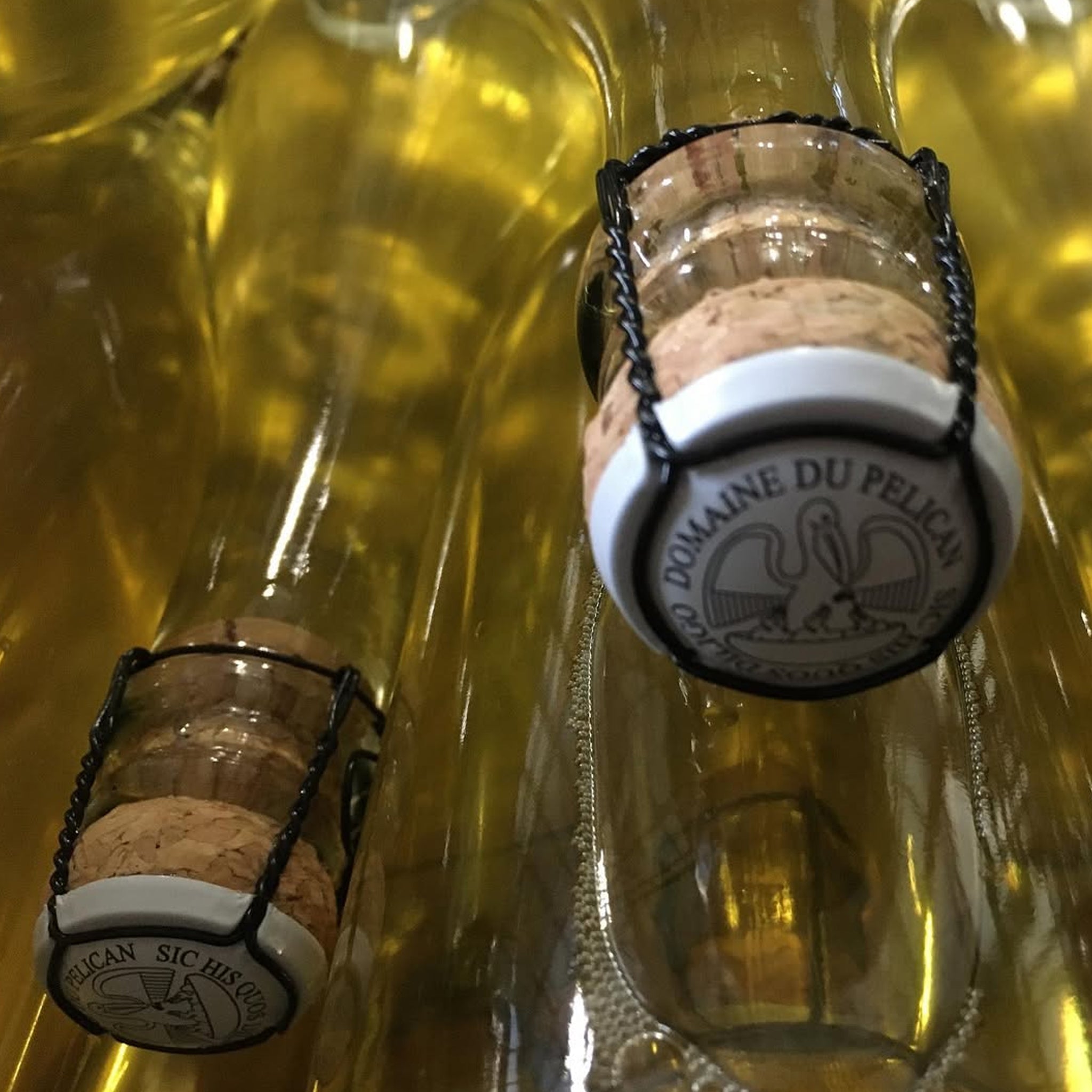 Domaine du Pélican Arbois Savagnin Ouillé 2023