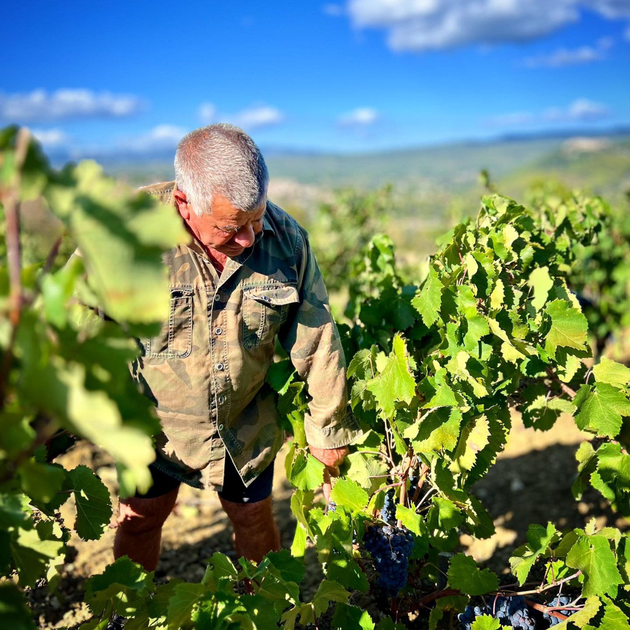 Domaine du Gros Nore Bandol Rose 2024