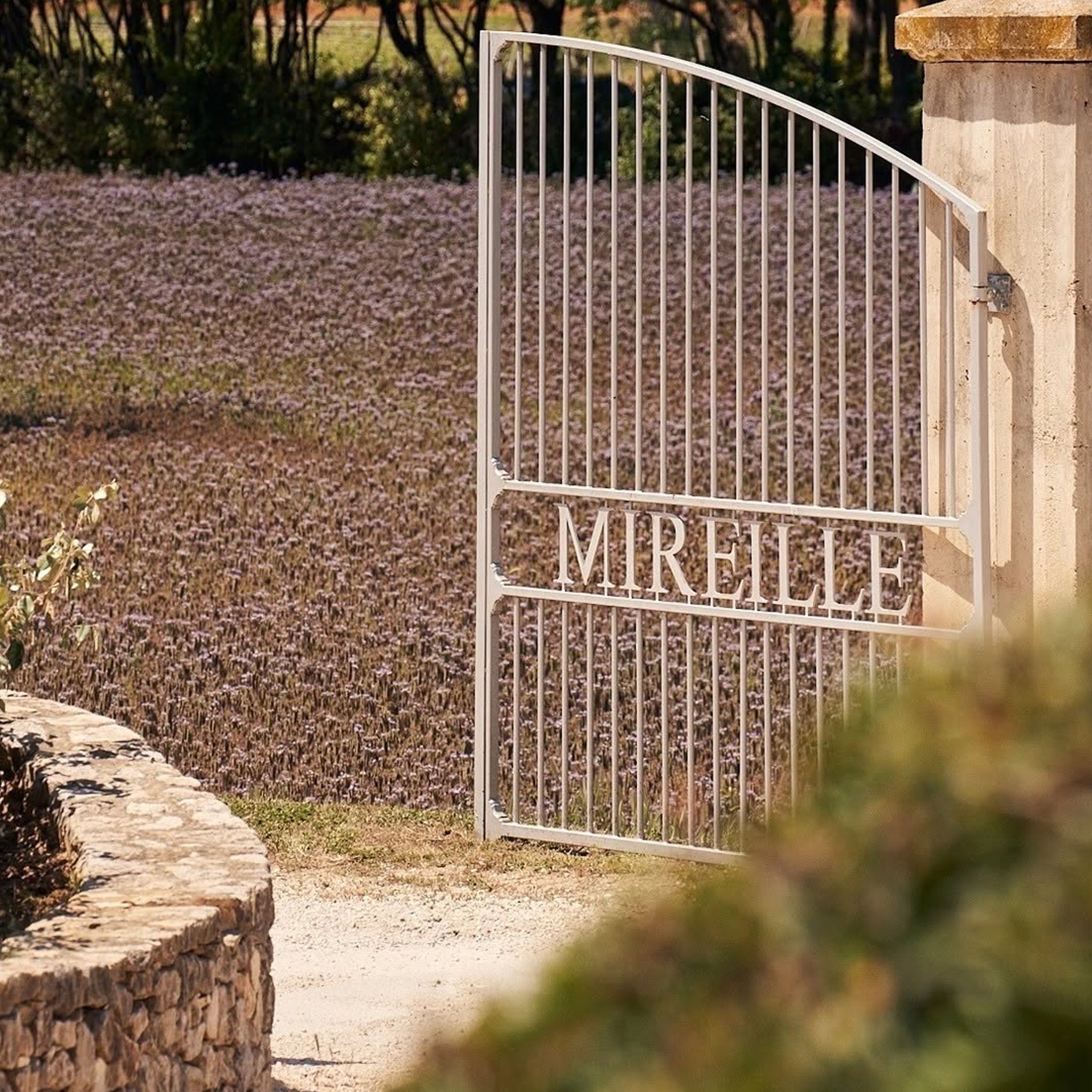 Domaines Ott Clos Mireille Coeur de Grain Rosé 2023