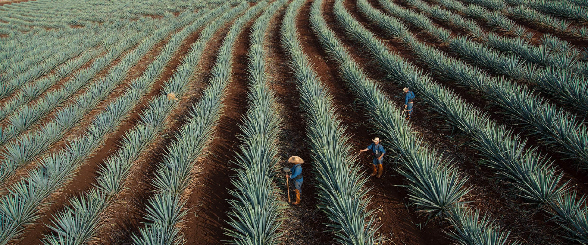 Philosophy | Don Julio