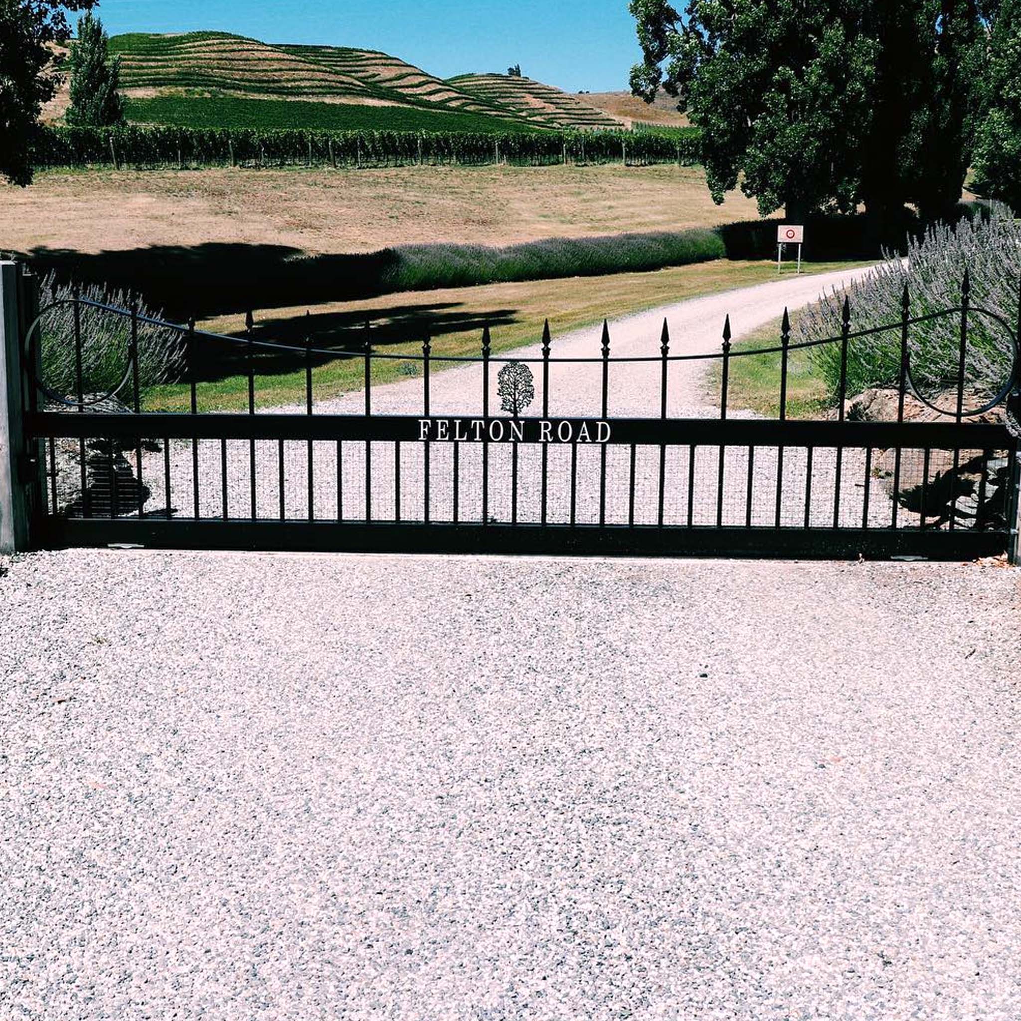 Felton Road Calvert Pinot Noir 2024