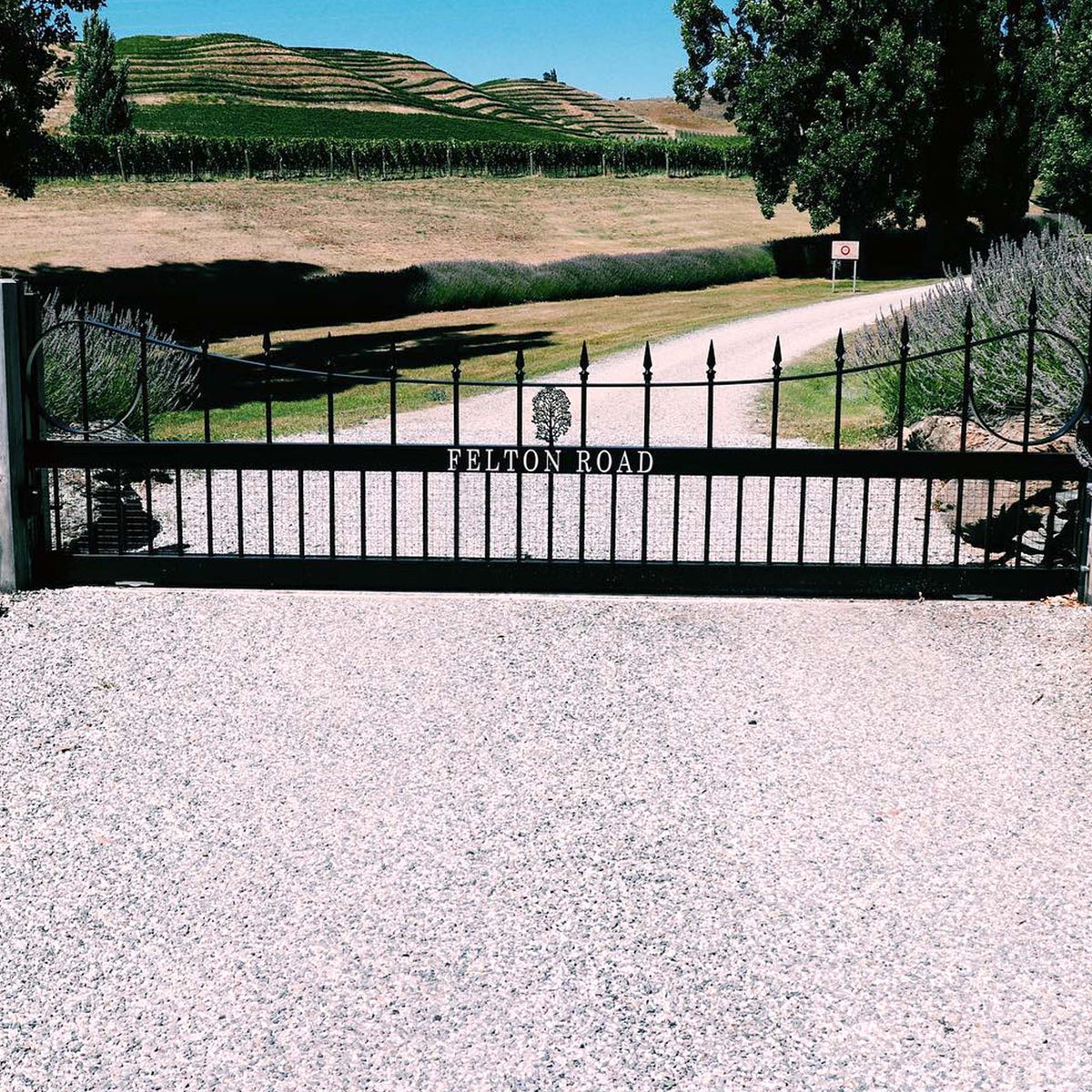 Felton Road Dry Riesling 2025