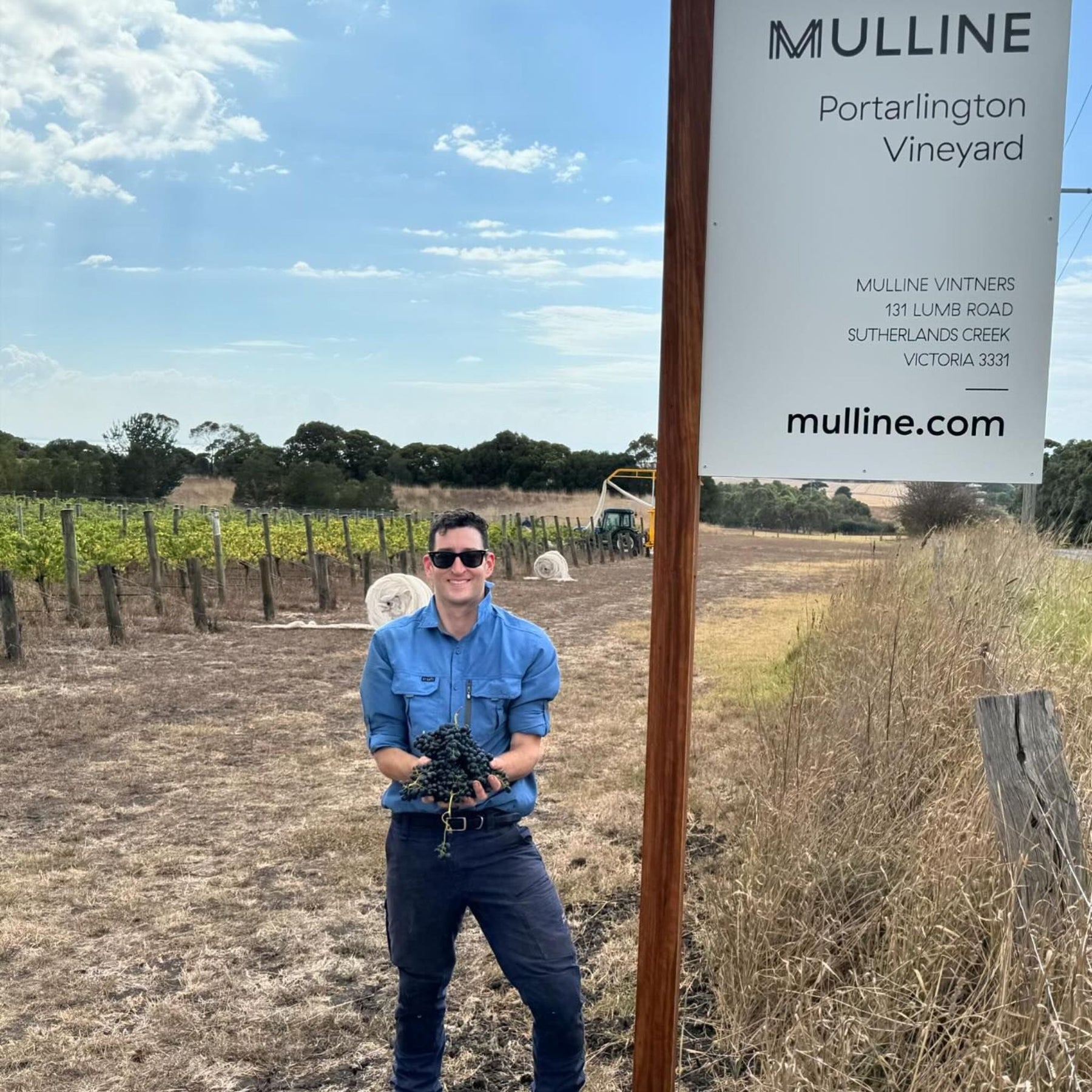 Ben Hine began his working career in hospitality. His passion for food, wine and hospitality has endured since. - Kent Street Cellars